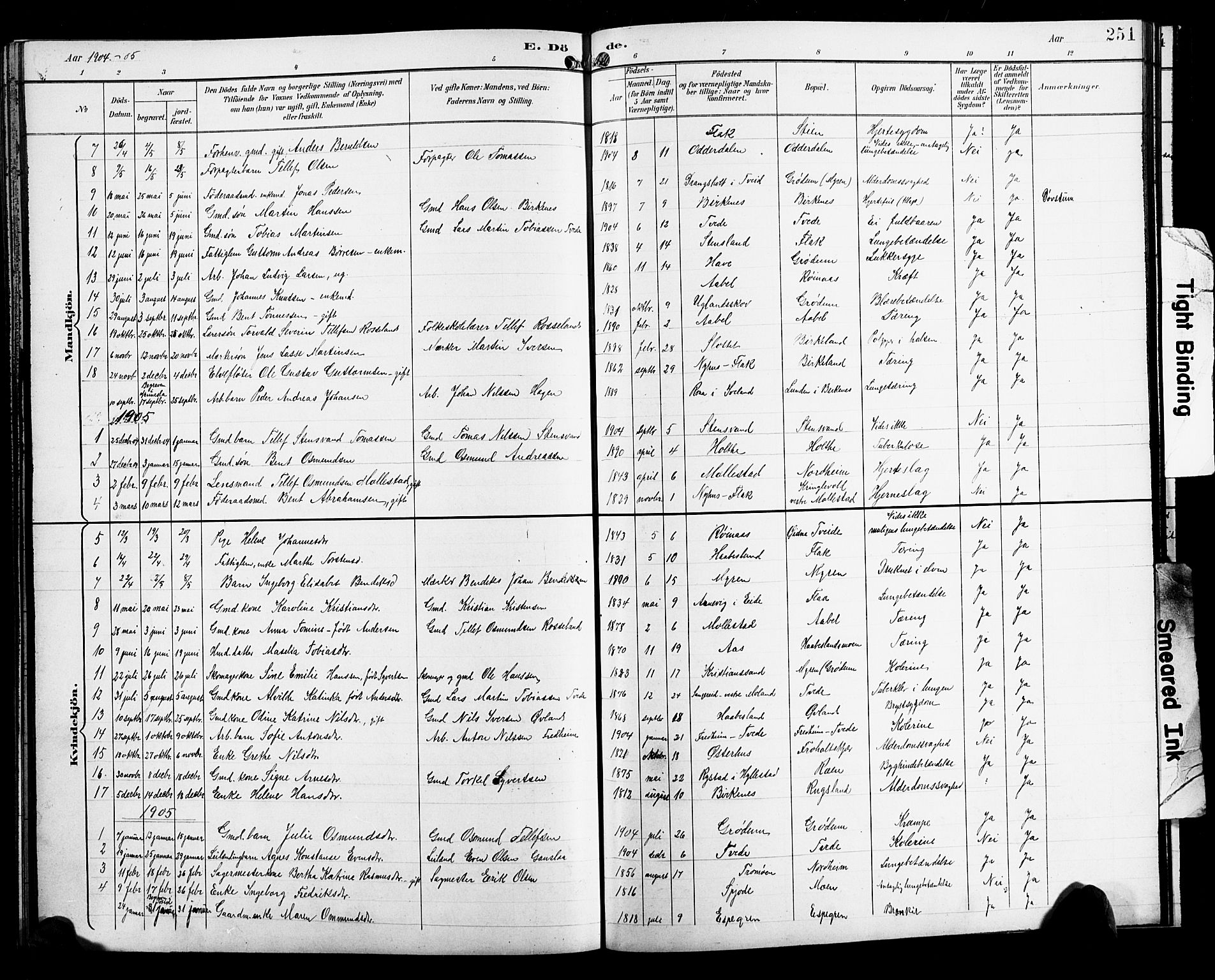 Birkenes sokneprestkontor, SAK/1111-0004/F/Fb/L0004: Parish register (copy) no. B 4, 1893-1930, p. 251