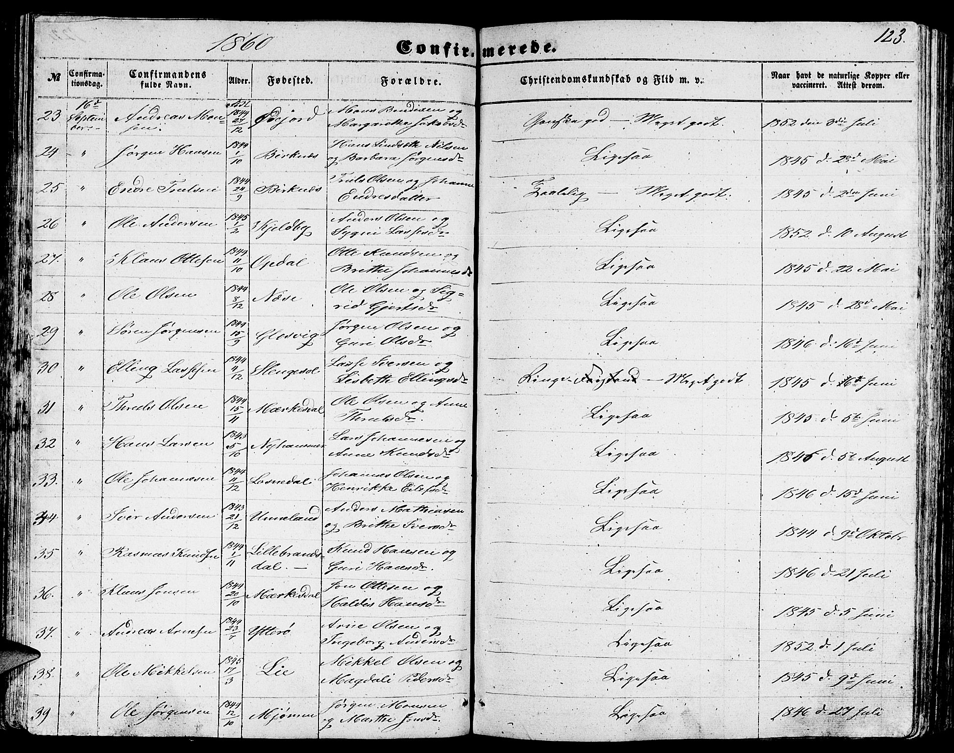 Gulen sokneprestembete, AV/SAB-A-80201/H/Hab/Habb/L0001: Parish register (copy) no. B 1, 1854-1866, p. 123