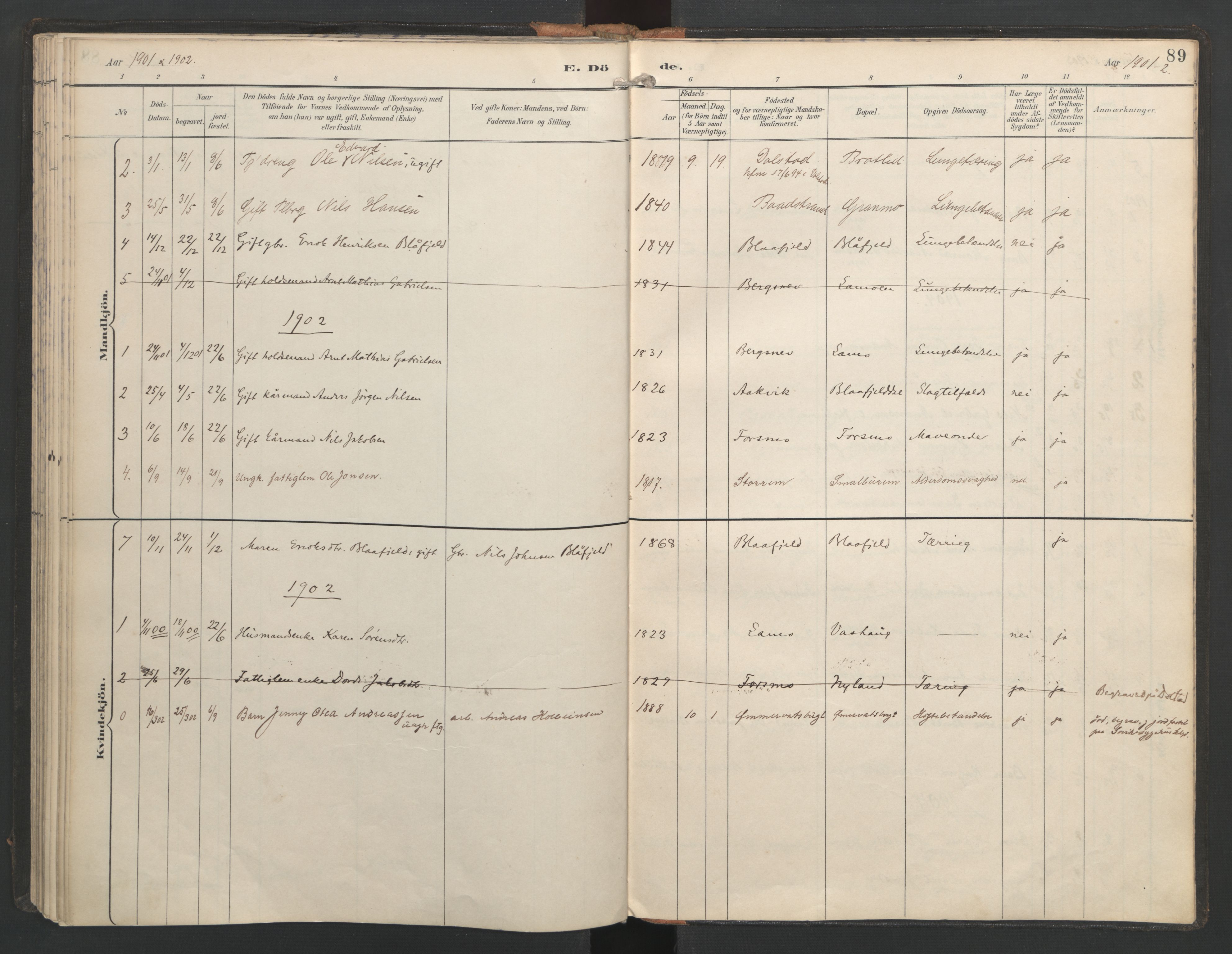 Ministerialprotokoller, klokkerbøker og fødselsregistre - Nordland, SAT/A-1459/821/L0317: Parish register (official) no. 821A01, 1892-1907, p. 89
