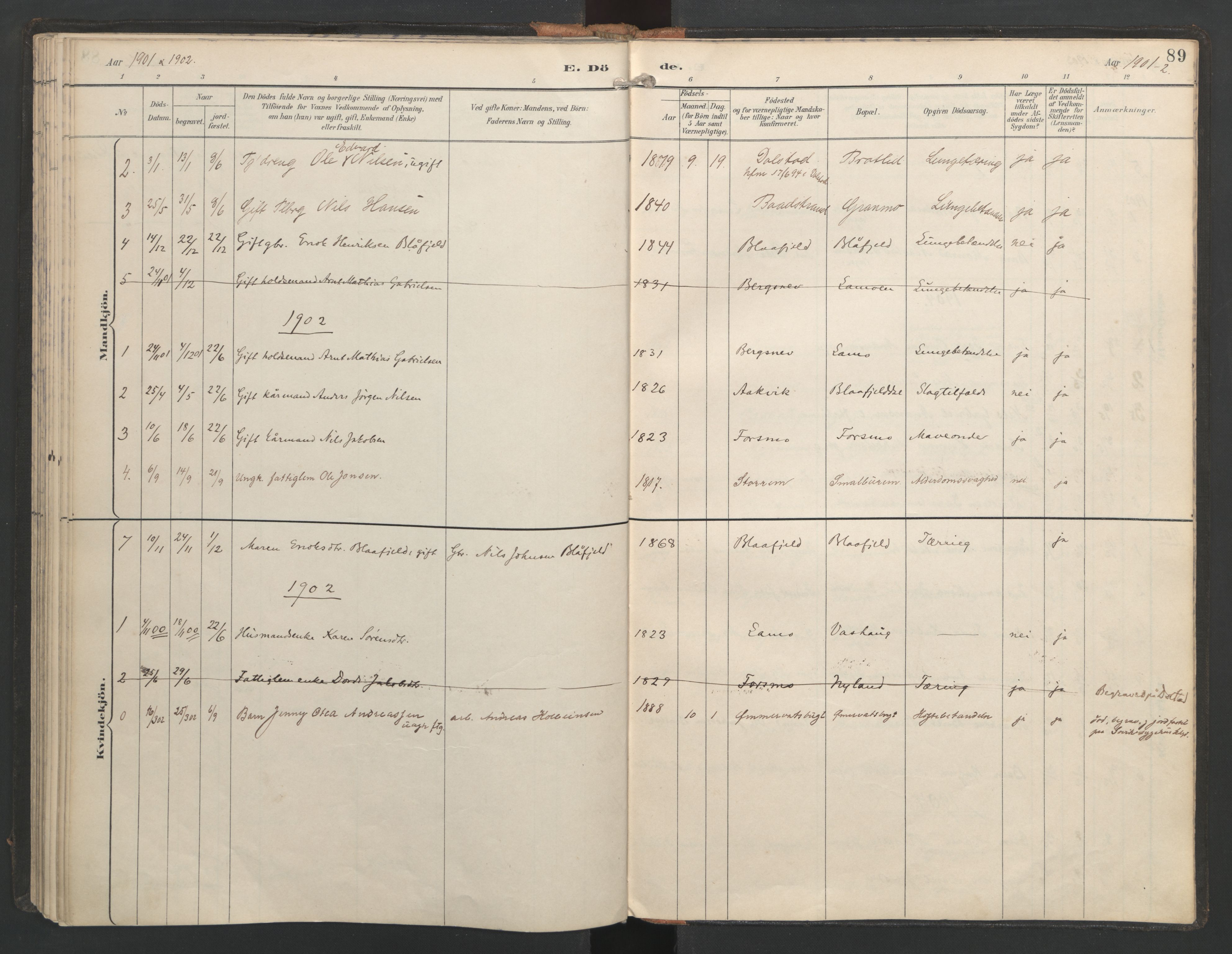 Ministerialprotokoller, klokkerbøker og fødselsregistre - Nordland, AV/SAT-A-1459/821/L0317: Parish register (official) no. 821A01, 1892-1907, p. 89
