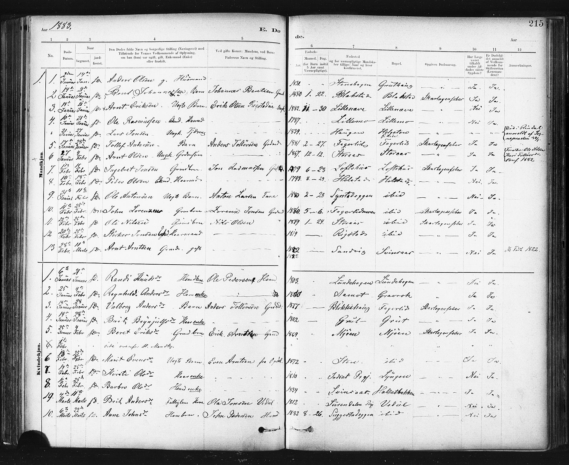 Ministerialprotokoller, klokkerbøker og fødselsregistre - Sør-Trøndelag, SAT/A-1456/672/L0857: Parish register (official) no. 672A09, 1882-1893, p. 215