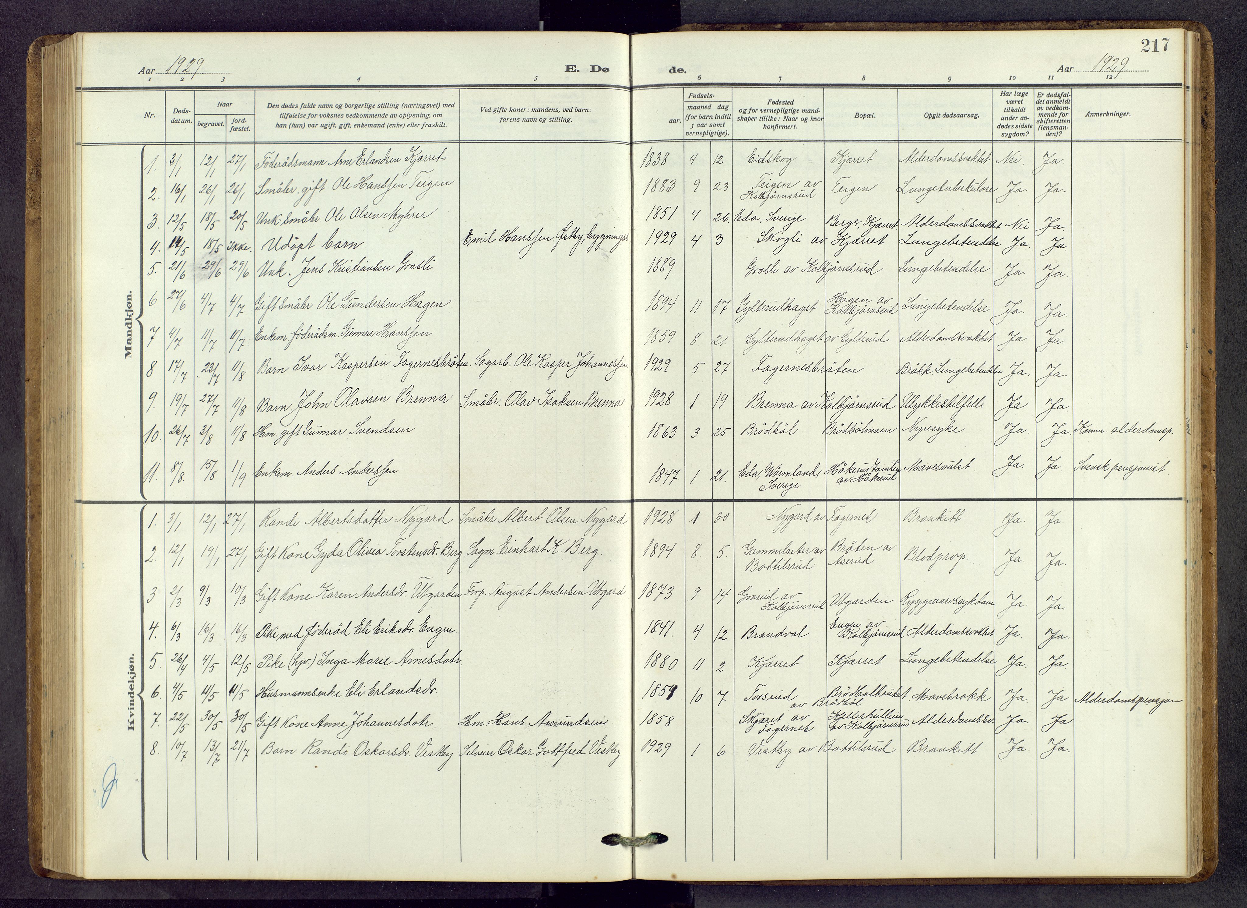 Vinger prestekontor, AV/SAH-PREST-024/H/Ha/Hab/L0006: Parish register (copy) no. 6, 1921-1973, p. 217