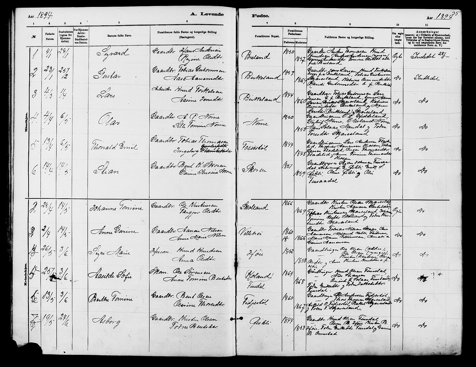 Holum sokneprestkontor, SAK/1111-0022/F/Fb/Fbc/L0003: Parish register (copy) no. B 3, 1882-1908, p. 35