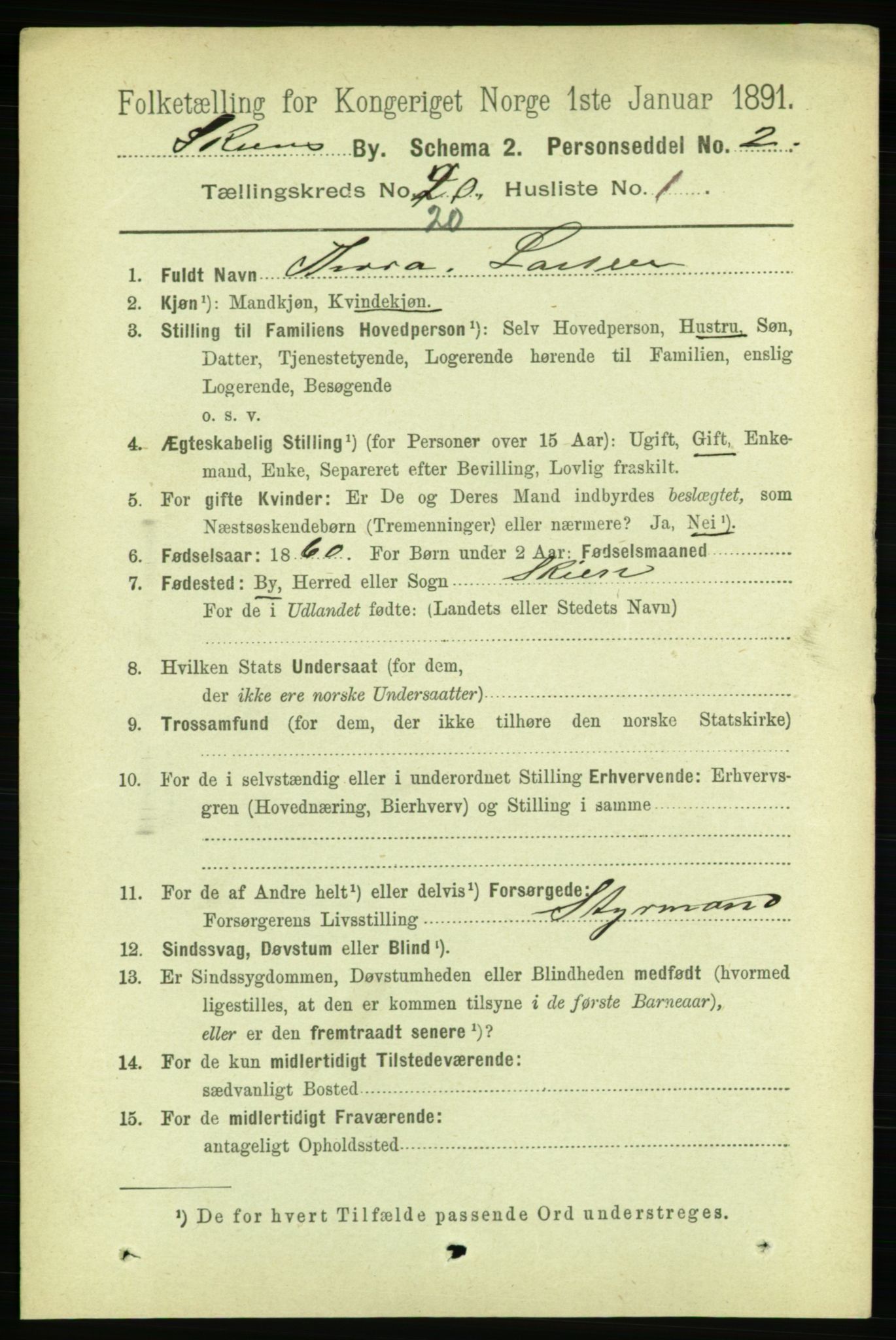 RA, 1891 census for 0806 Skien, 1891, p. 5124