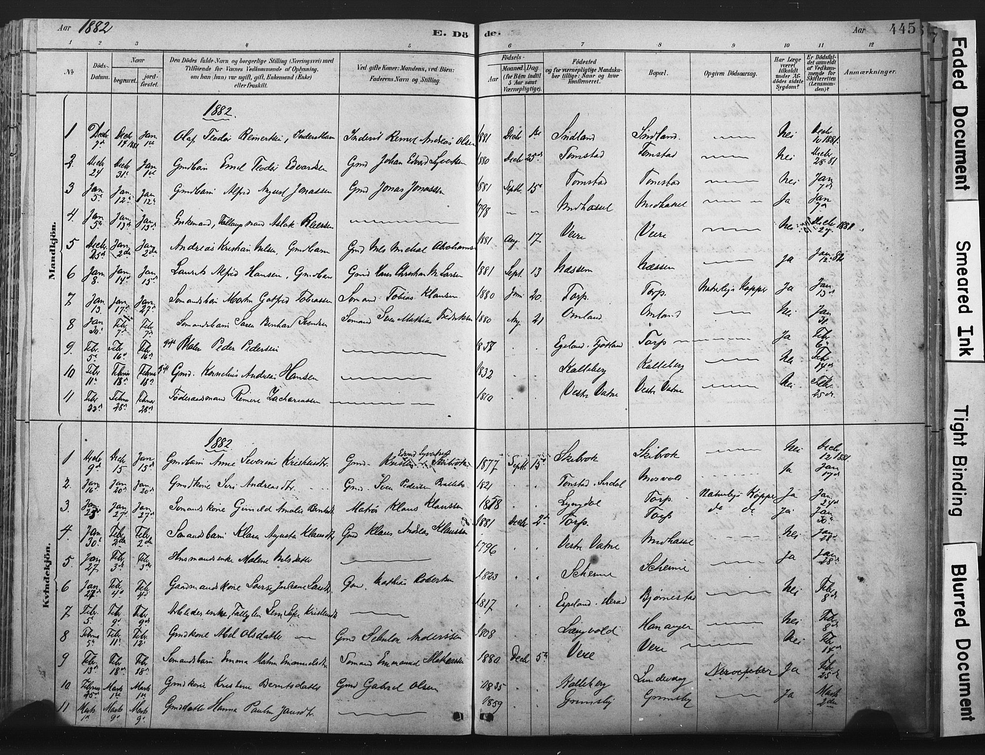 Lista sokneprestkontor, SAK/1111-0027/F/Fa/L0012: Parish register (official) no. A 12, 1879-1903, p. 445