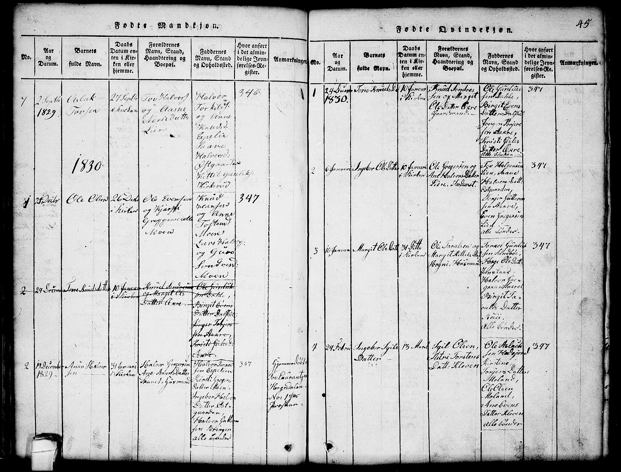 Seljord kirkebøker, SAKO/A-20/G/Gb/L0002: Parish register (copy) no. II 2, 1815-1854, p. 45