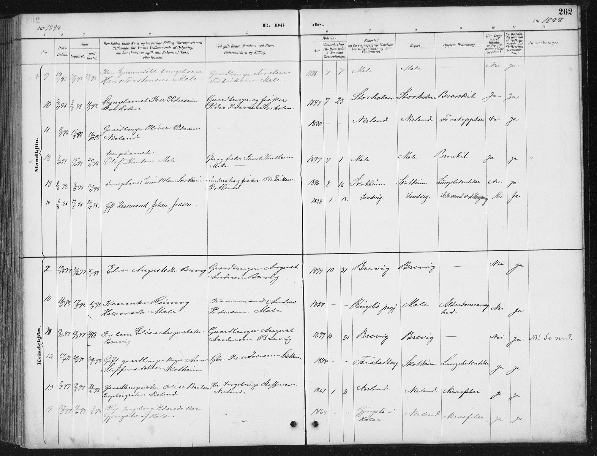 Ministerialprotokoller, klokkerbøker og fødselsregistre - Møre og Romsdal, AV/SAT-A-1454/567/L0783: Parish register (copy) no. 567C03, 1887-1903, p. 262