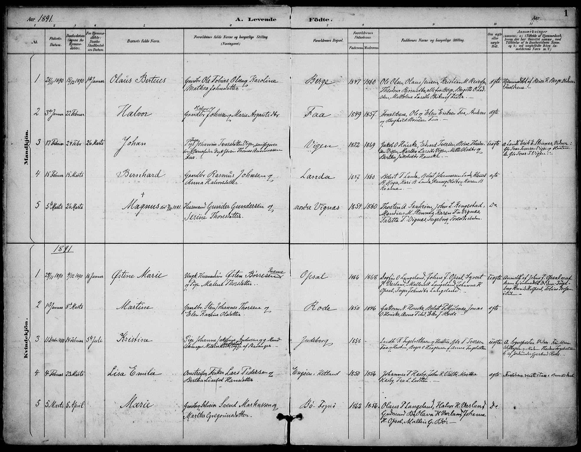 Finnøy sokneprestkontor, SAST/A-101825/H/Ha/Haa/L0011: Parish register (official) no. A 11, 1891-1910, p. 1