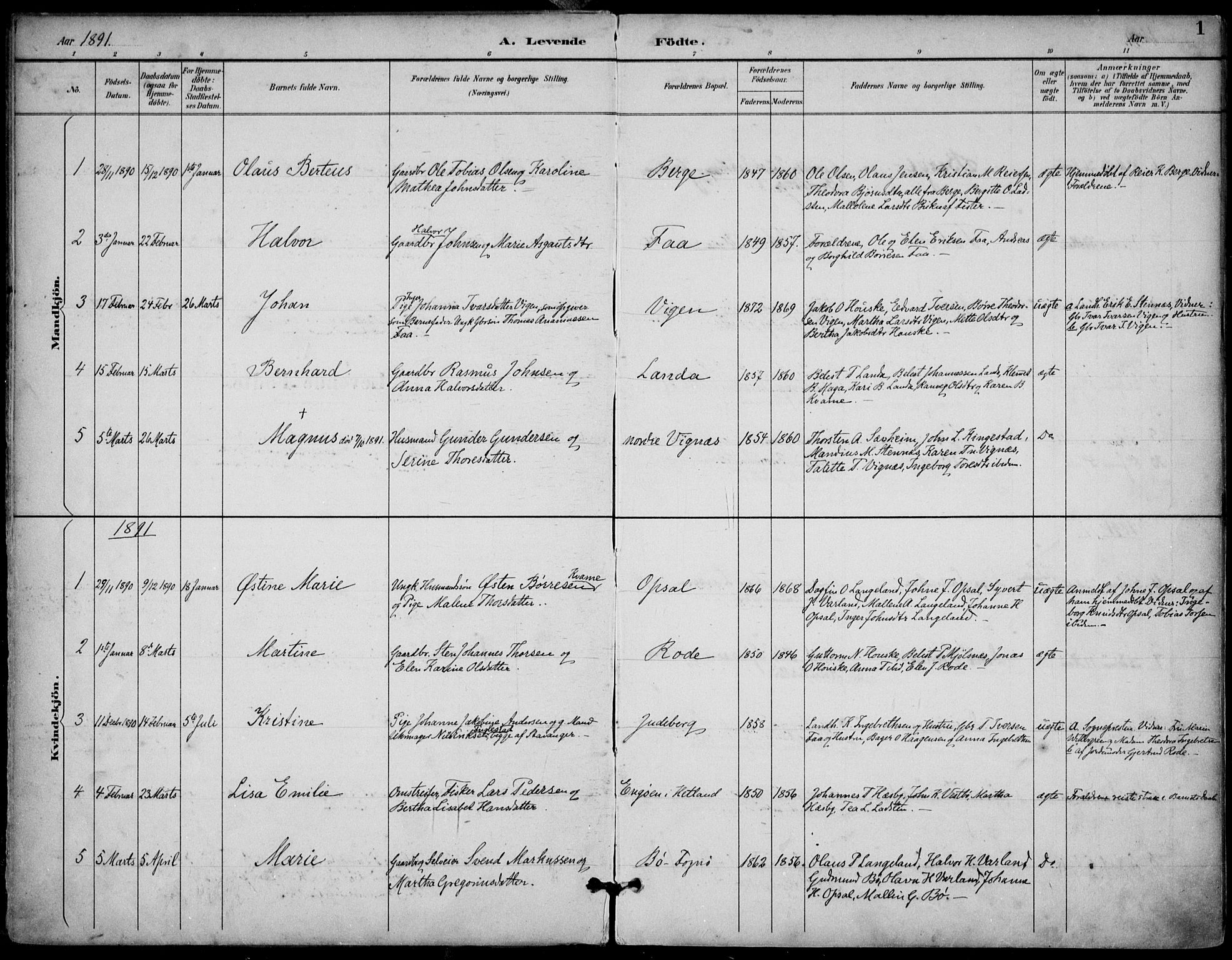 Finnøy sokneprestkontor, AV/SAST-A-101825/H/Ha/Haa/L0011: Parish register (official) no. A 11, 1891-1910, p. 1