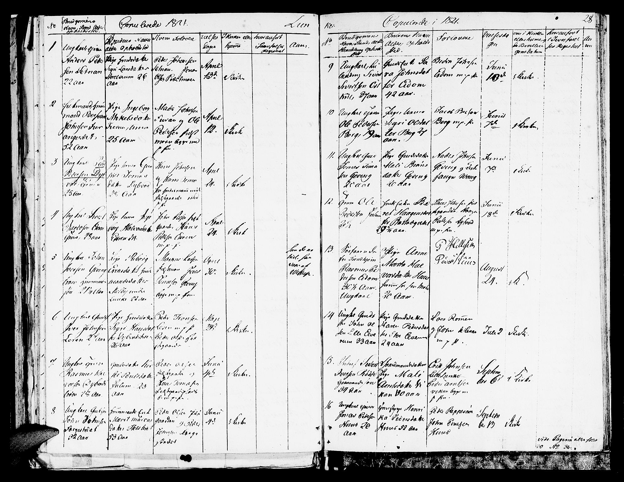 Ministerialprotokoller, klokkerbøker og fødselsregistre - Nord-Trøndelag, AV/SAT-A-1458/709/L0065: Parish register (official) no. 709A09 /3, 1820-1821, p. 28