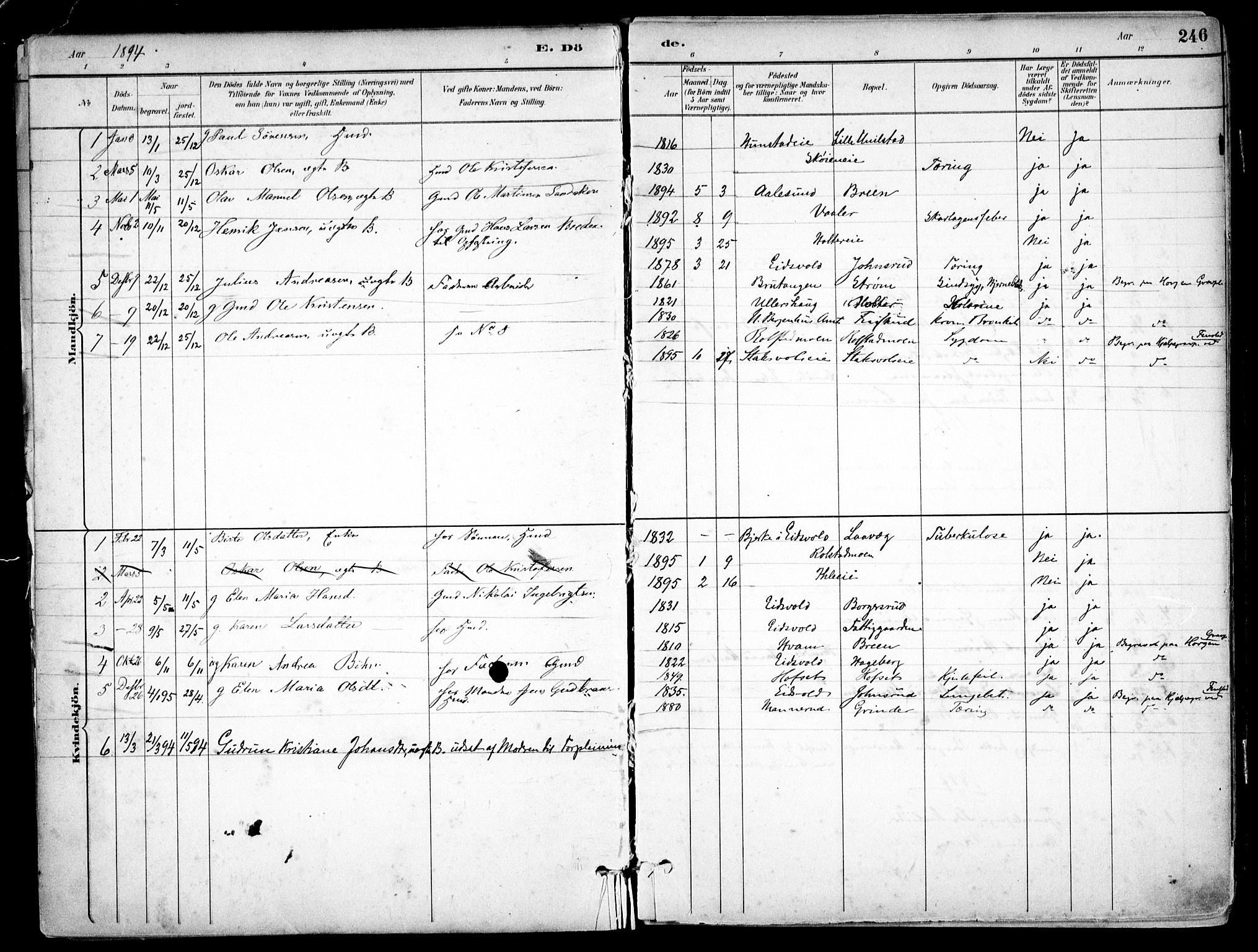 Nes prestekontor Kirkebøker, SAO/A-10410/F/Fb/L0002: Parish register (official) no. II 2, 1883-1918, p. 246
