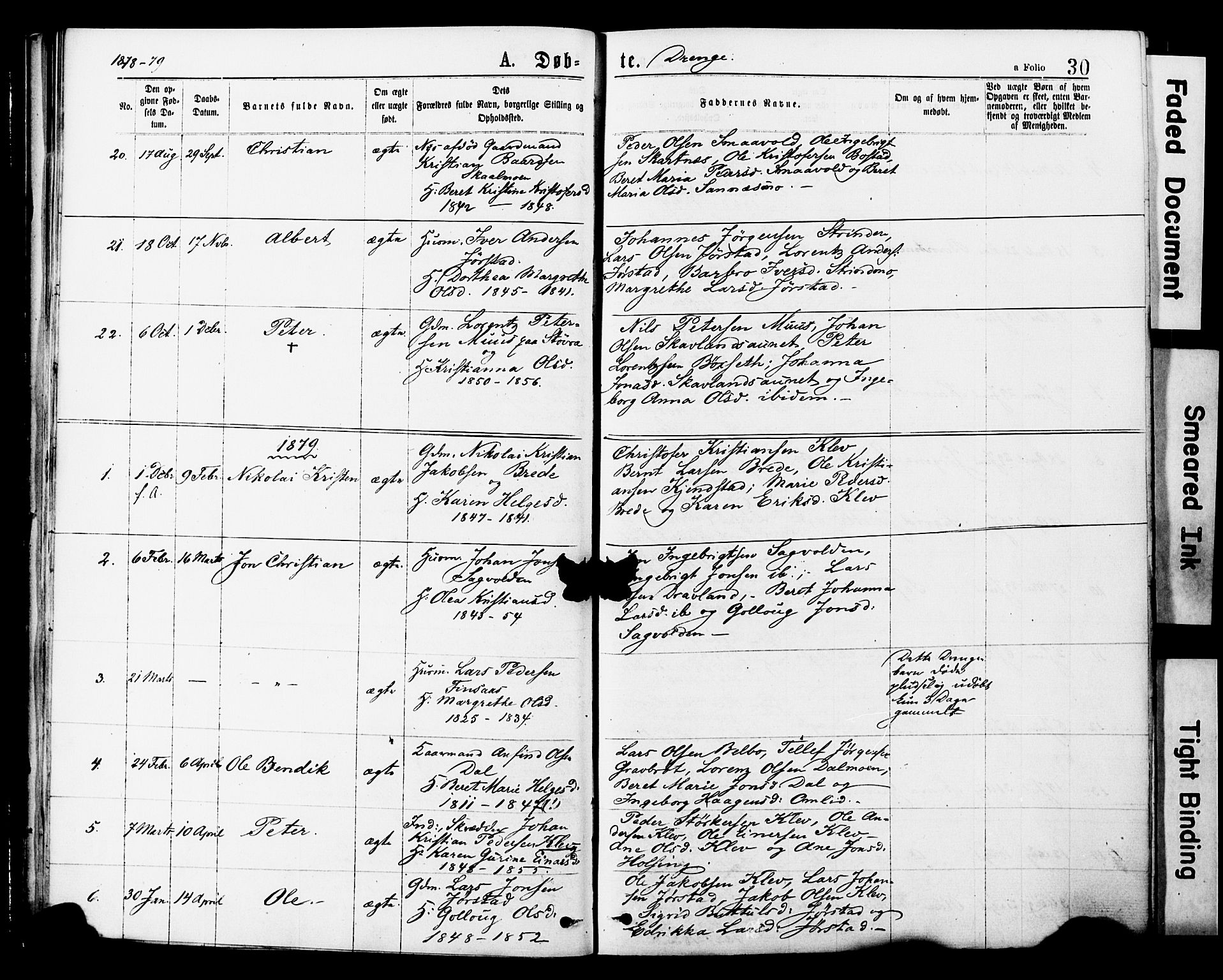 Ministerialprotokoller, klokkerbøker og fødselsregistre - Nord-Trøndelag, AV/SAT-A-1458/749/L0473: Parish register (official) no. 749A07, 1873-1887, p. 30
