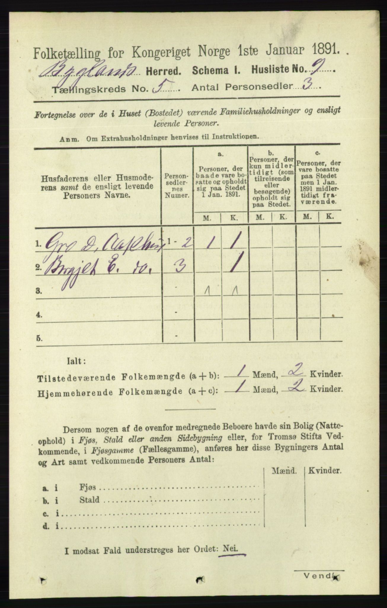 RA, 1891 census for 0938 Bygland, 1891, p. 1006