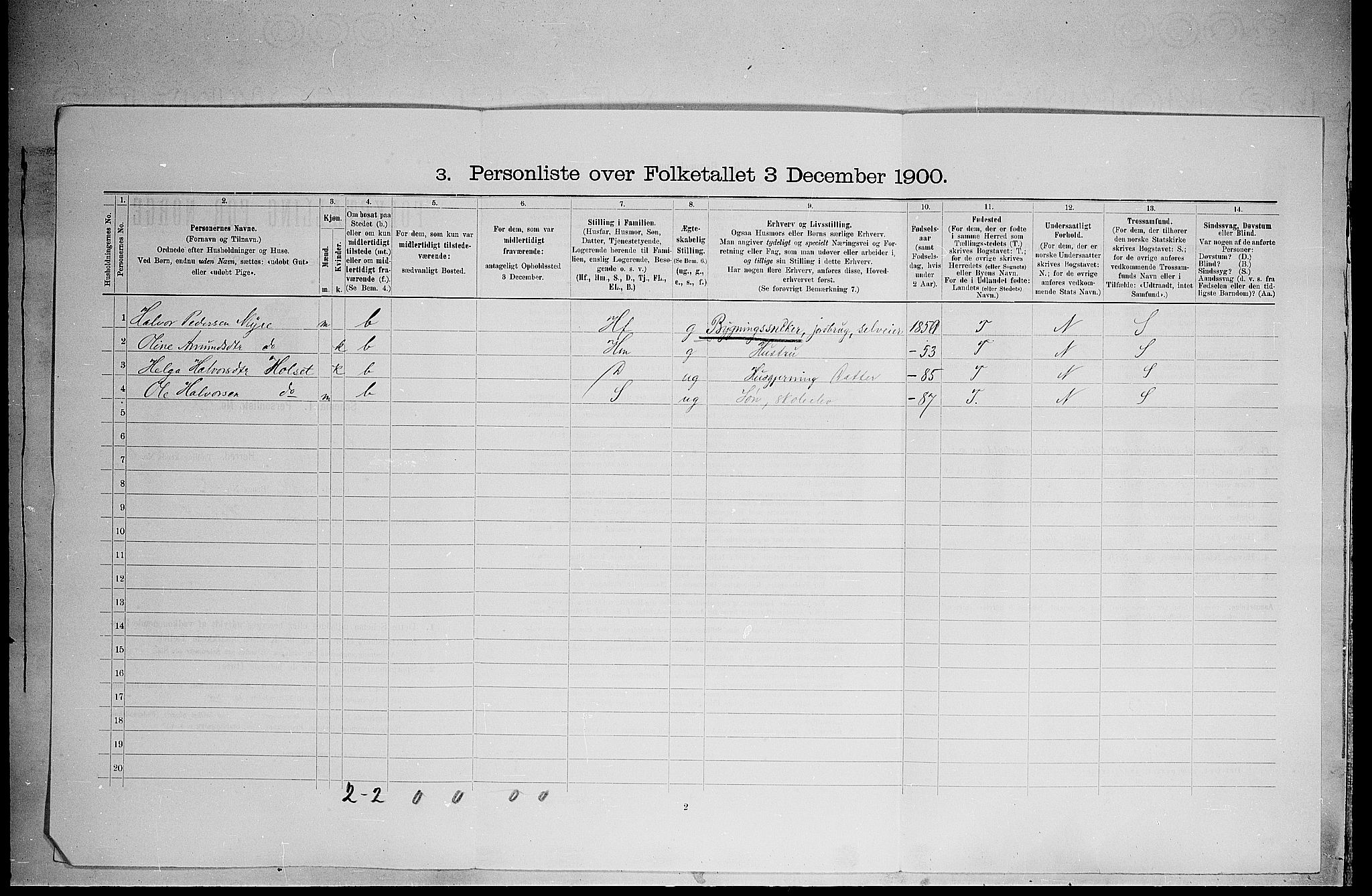 SAH, 1900 census for Elverum, 1900, p. 785