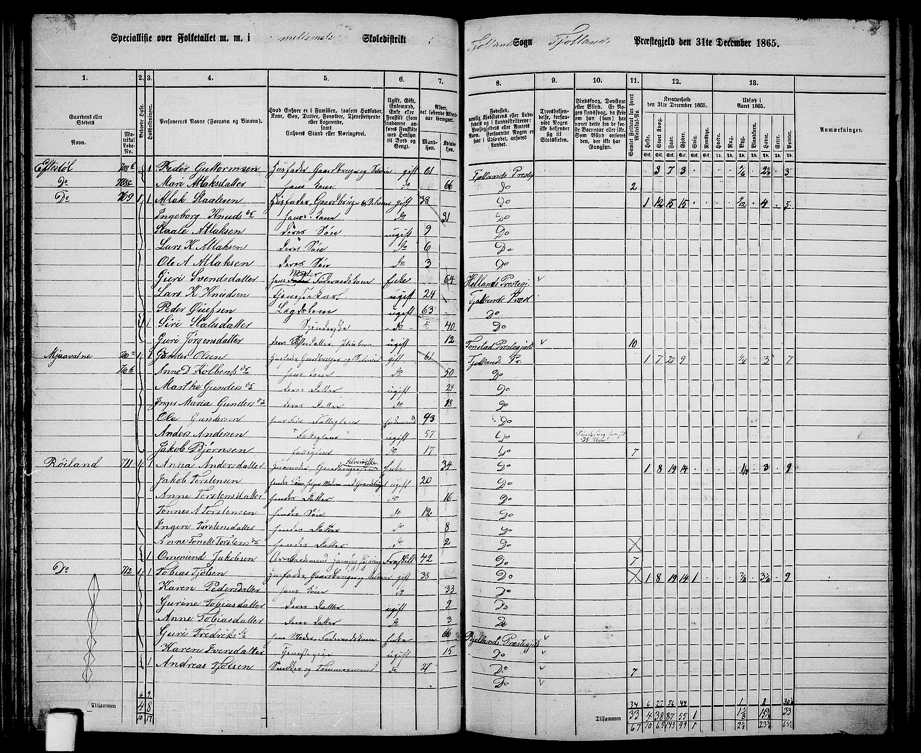 RA, 1865 census for Fjotland, 1865, p. 38