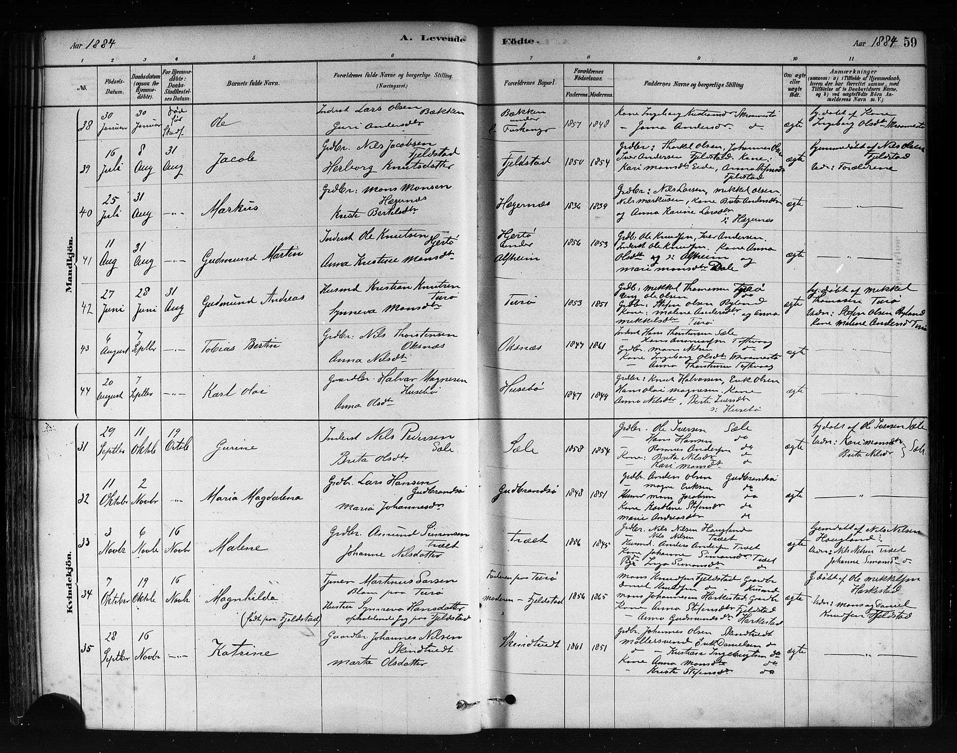 Herdla Sokneprestembete, AV/SAB-A-75701/H/Haa: Parish register (official) no. A 3, 1878-1890, p. 59