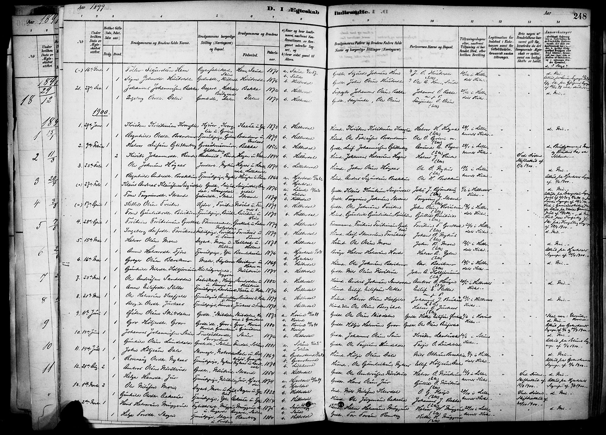 Heddal kirkebøker, SAKO/A-268/F/Fa/L0008: Parish register (official) no. I 8, 1878-1903, p. 248