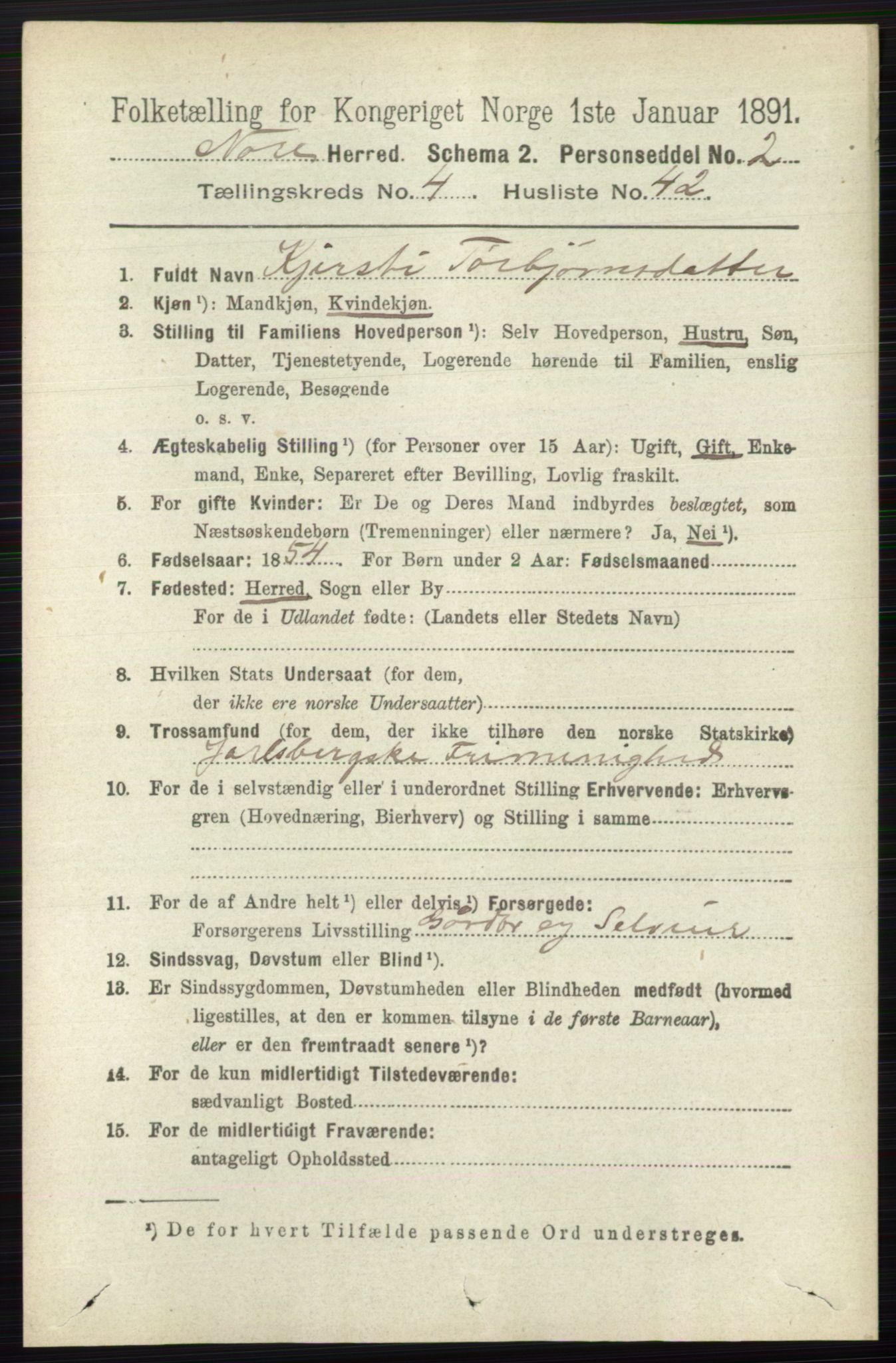 RA, 1891 census for 0633 Nore, 1891, p. 1512