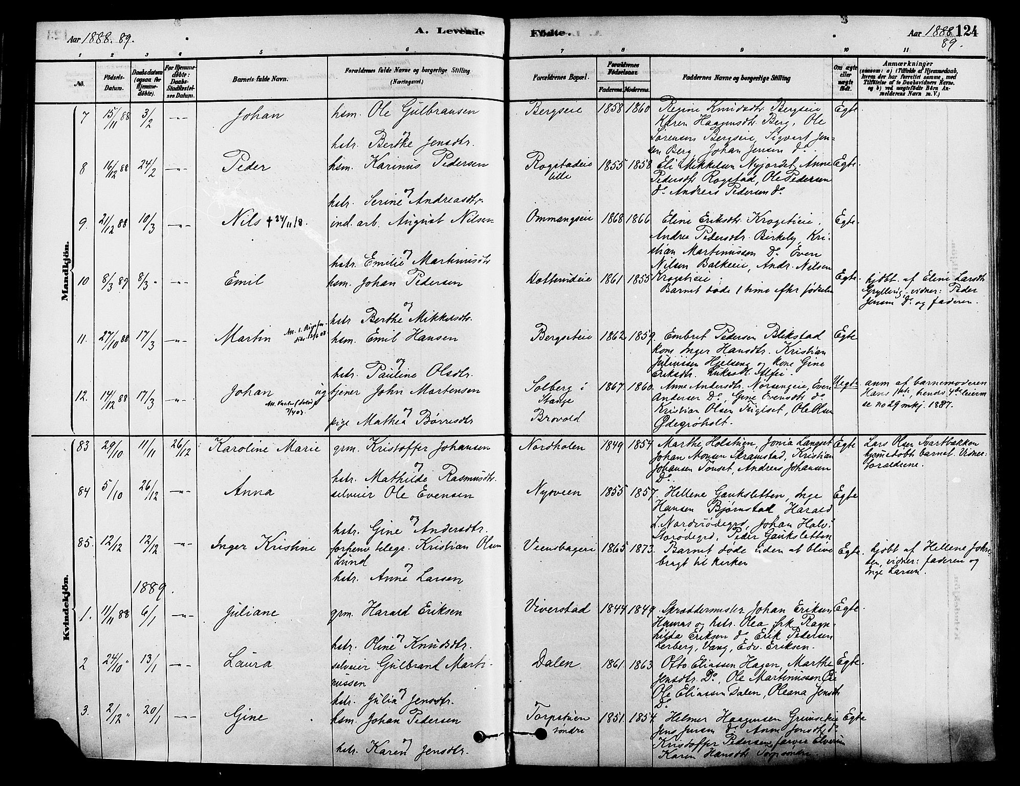 Løten prestekontor, AV/SAH-PREST-022/K/Ka/L0009: Parish register (official) no. 9, 1878-1891, p. 124