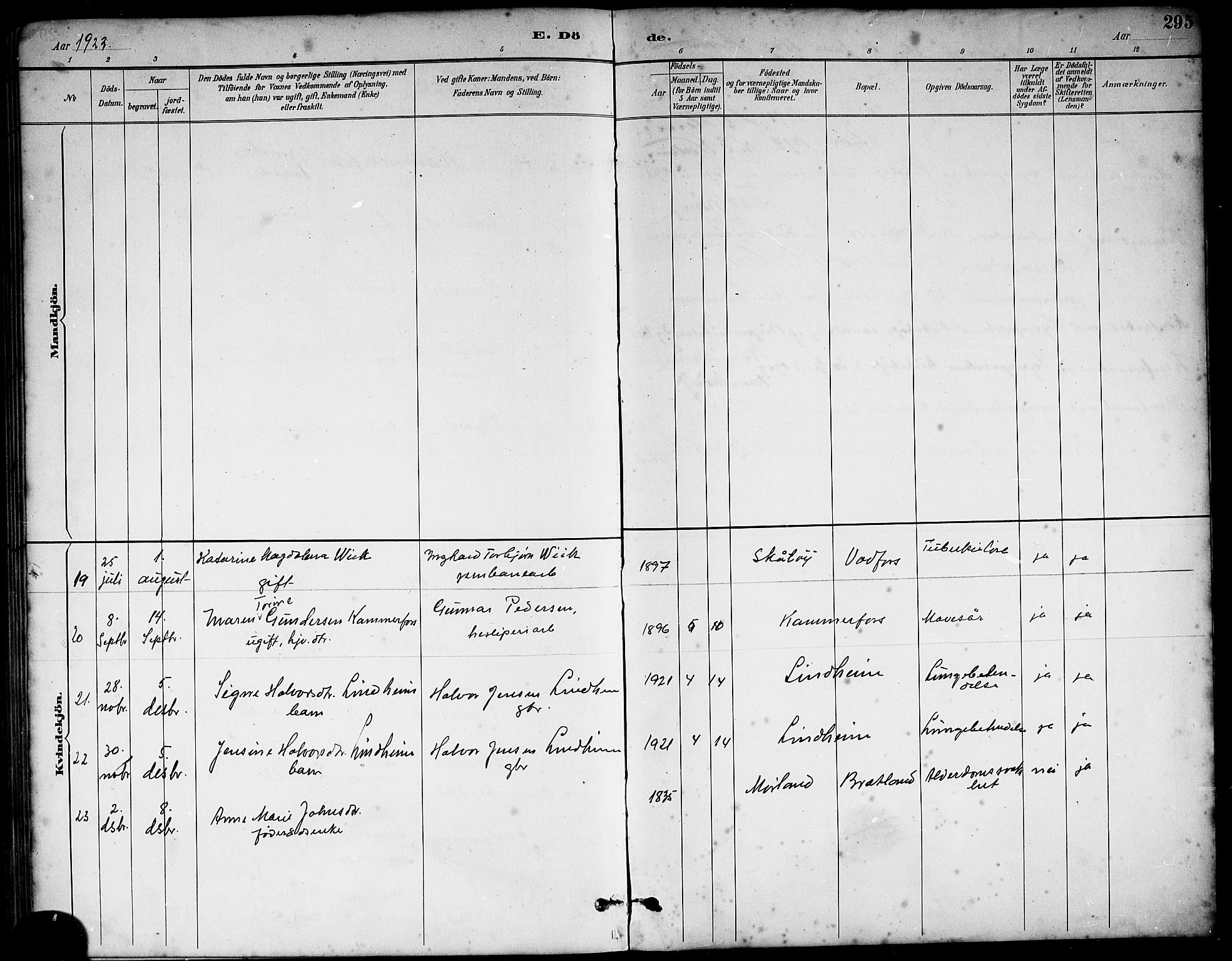 Sannidal kirkebøker, AV/SAKO-A-296/G/Ga/L0003: Parish register (copy) no. 3, 1887-1922, p. 295