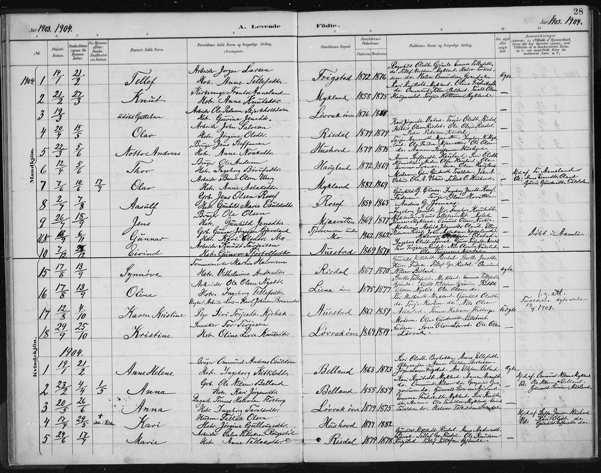 Herefoss sokneprestkontor, SAK/1111-0019/F/Fa/Fac/L0002: Parish register (official) no. A 2, 1887-1915, p. 28