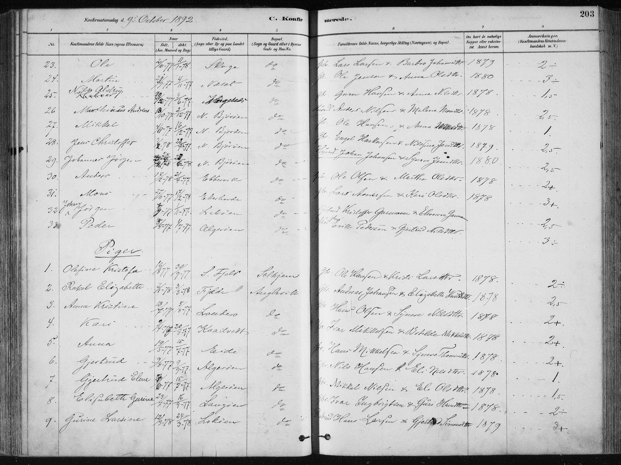Fjell sokneprestembete, SAB/A-75301/H/Haa: Parish register (official) no. A  8, 1878-1898, p. 203