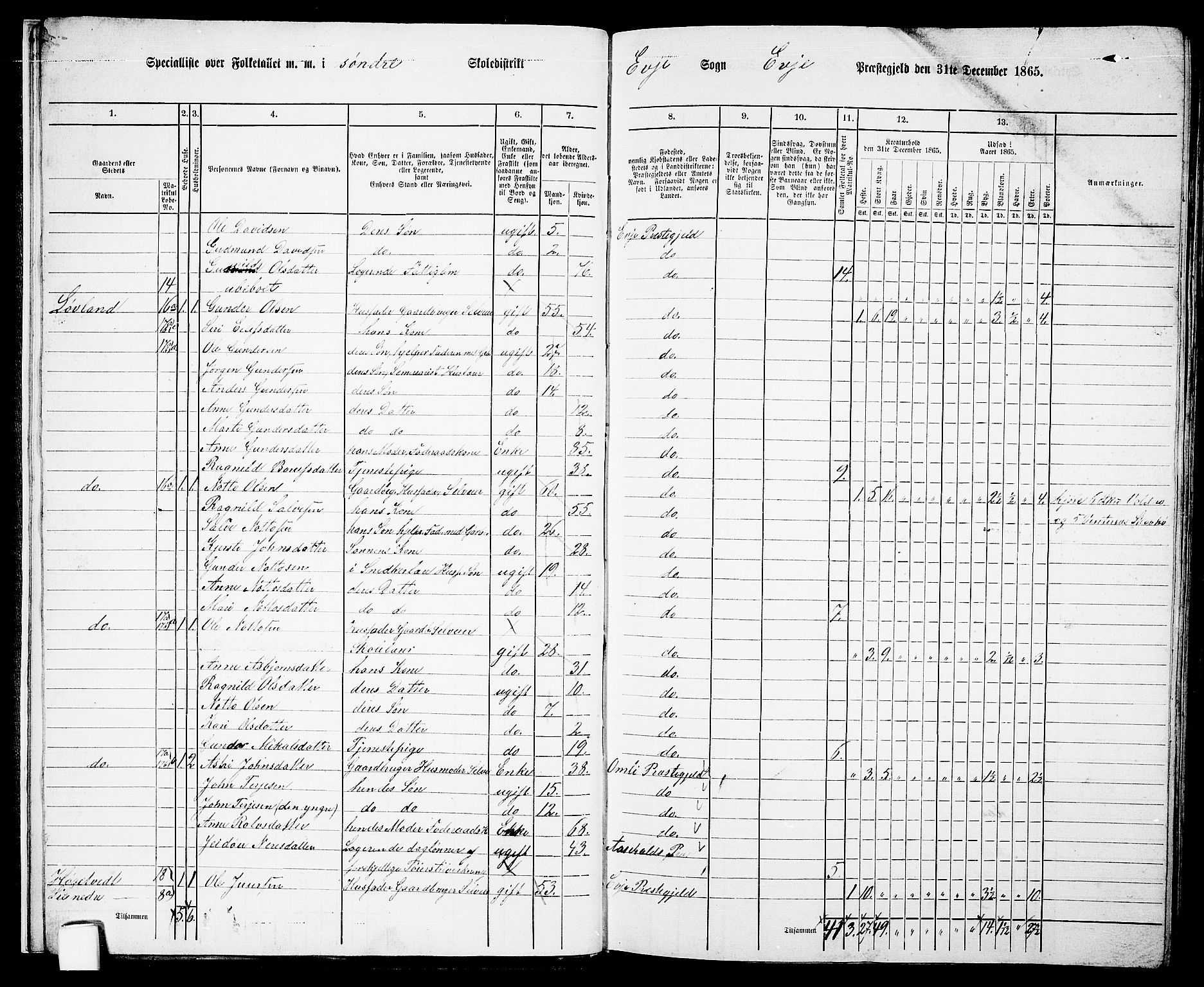 RA, 1865 census for Evje, 1865, p. 13