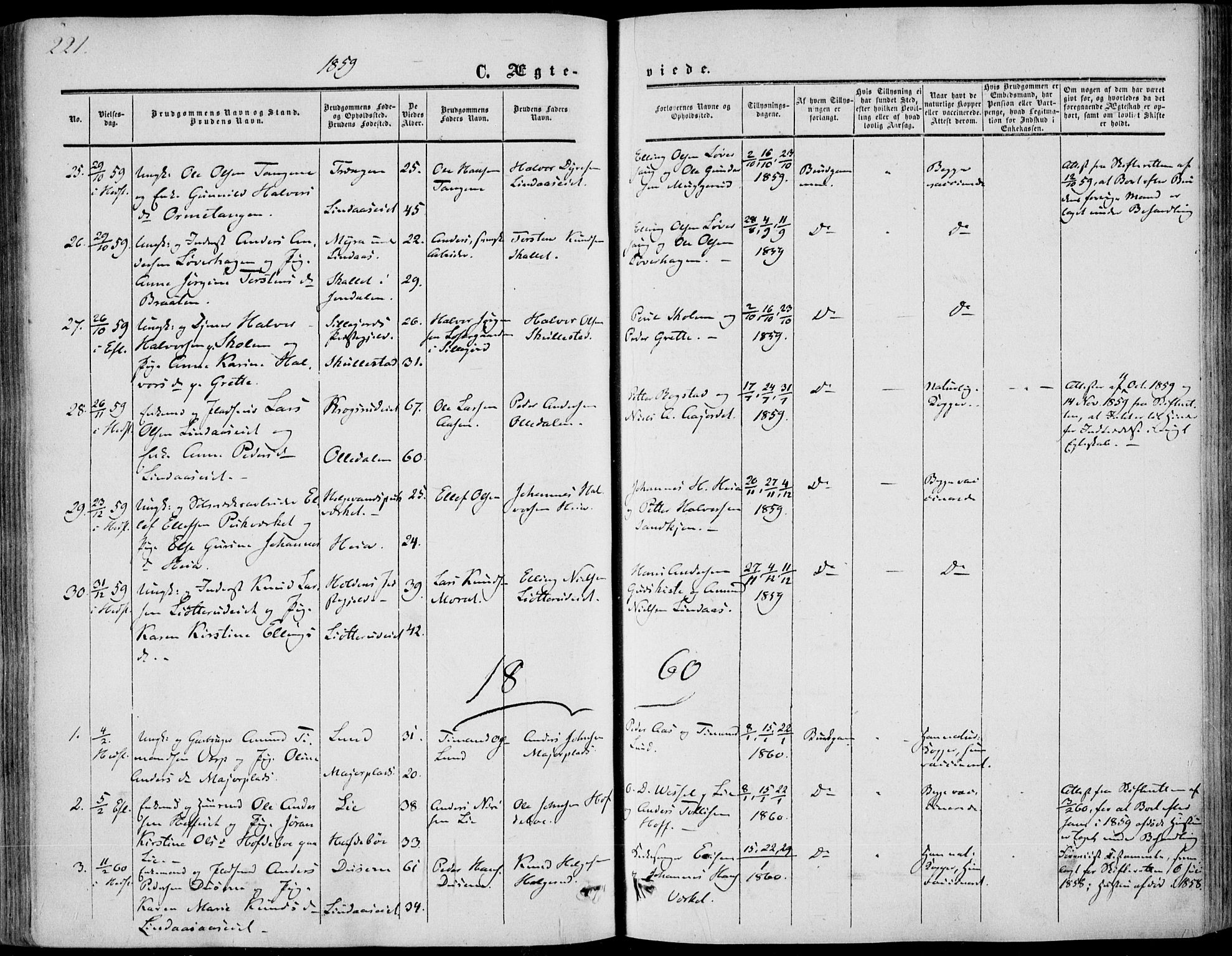 Sandsvær kirkebøker, SAKO/A-244/F/Fa/L0006: Parish register (official) no. I 6, 1857-1868, p. 221