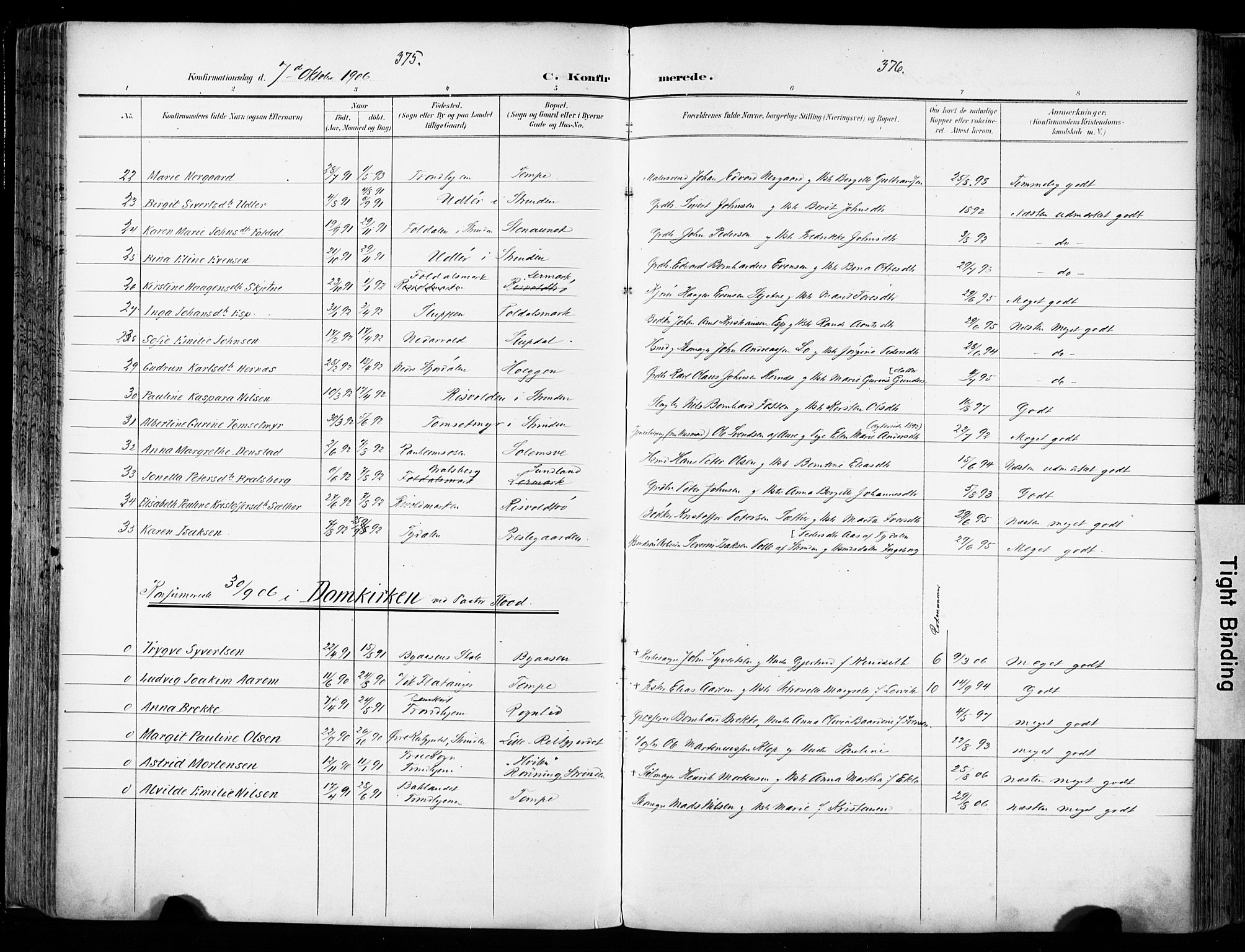 Ministerialprotokoller, klokkerbøker og fødselsregistre - Sør-Trøndelag, AV/SAT-A-1456/606/L0301: Parish register (official) no. 606A16, 1894-1907, p. 375-376