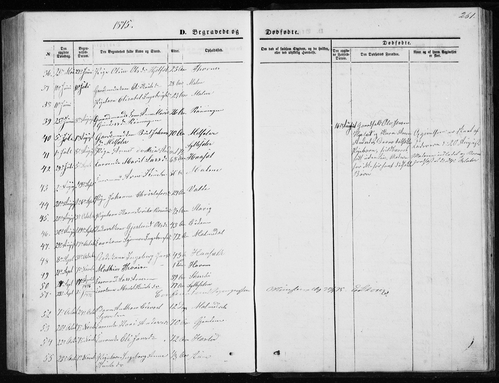 Ministerialprotokoller, klokkerbøker og fødselsregistre - Møre og Romsdal, AV/SAT-A-1454/565/L0754: Parish register (copy) no. 565C03, 1870-1896, p. 261