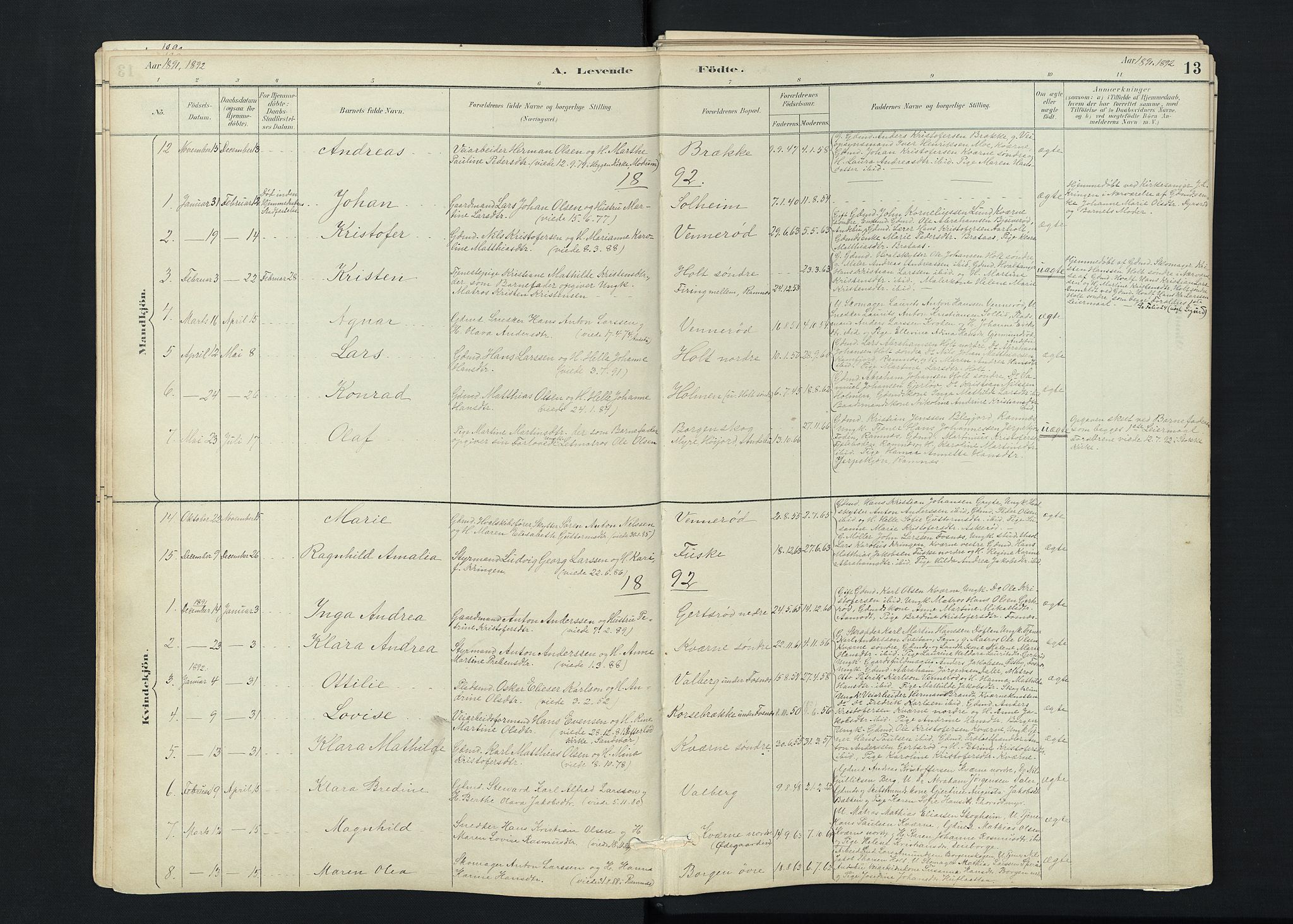 Stokke kirkebøker, AV/SAKO-A-320/F/Fc/L0001: Parish register (official) no. III 1, 1884-1910, p. 13