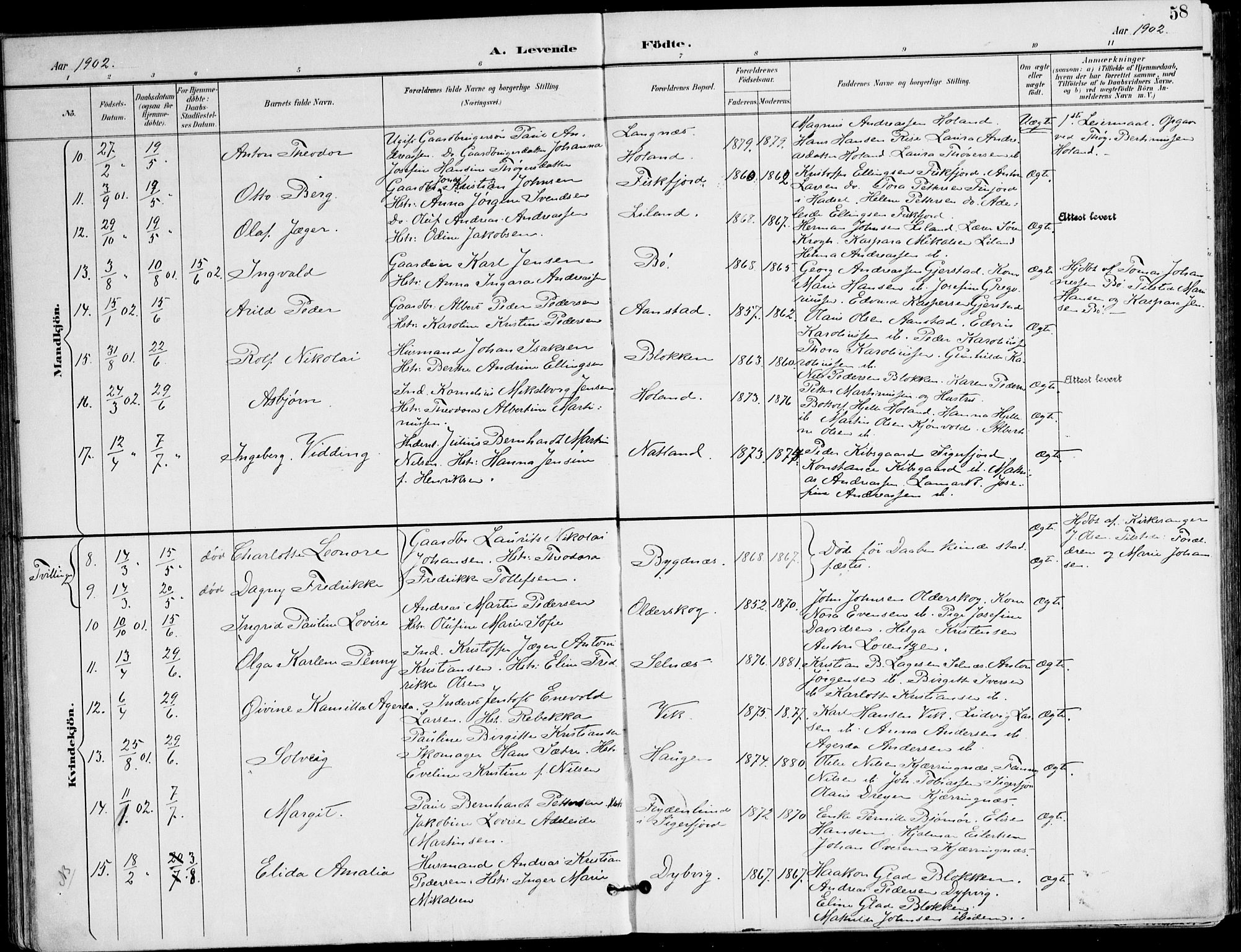 Ministerialprotokoller, klokkerbøker og fødselsregistre - Nordland, SAT/A-1459/895/L1372: Parish register (official) no. 895A07, 1894-1914, p. 58
