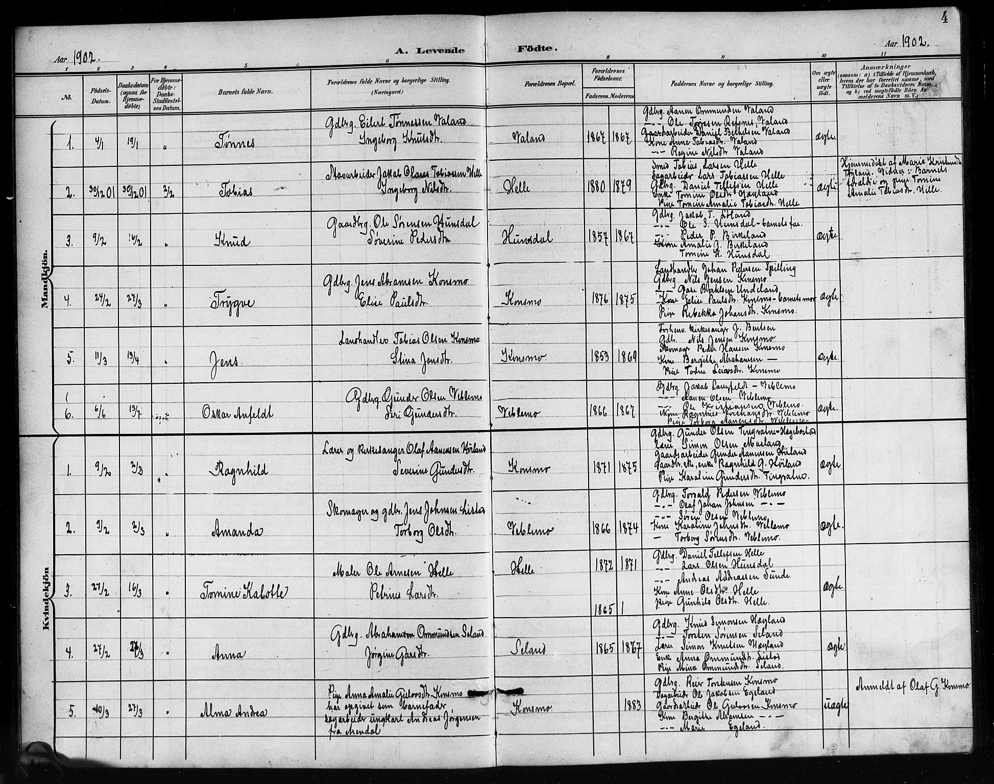 Nord-Audnedal sokneprestkontor, AV/SAK-1111-0032/F/Fb/Fba/L0004: Parish register (copy) no. B 4, 1901-1917, p. 4