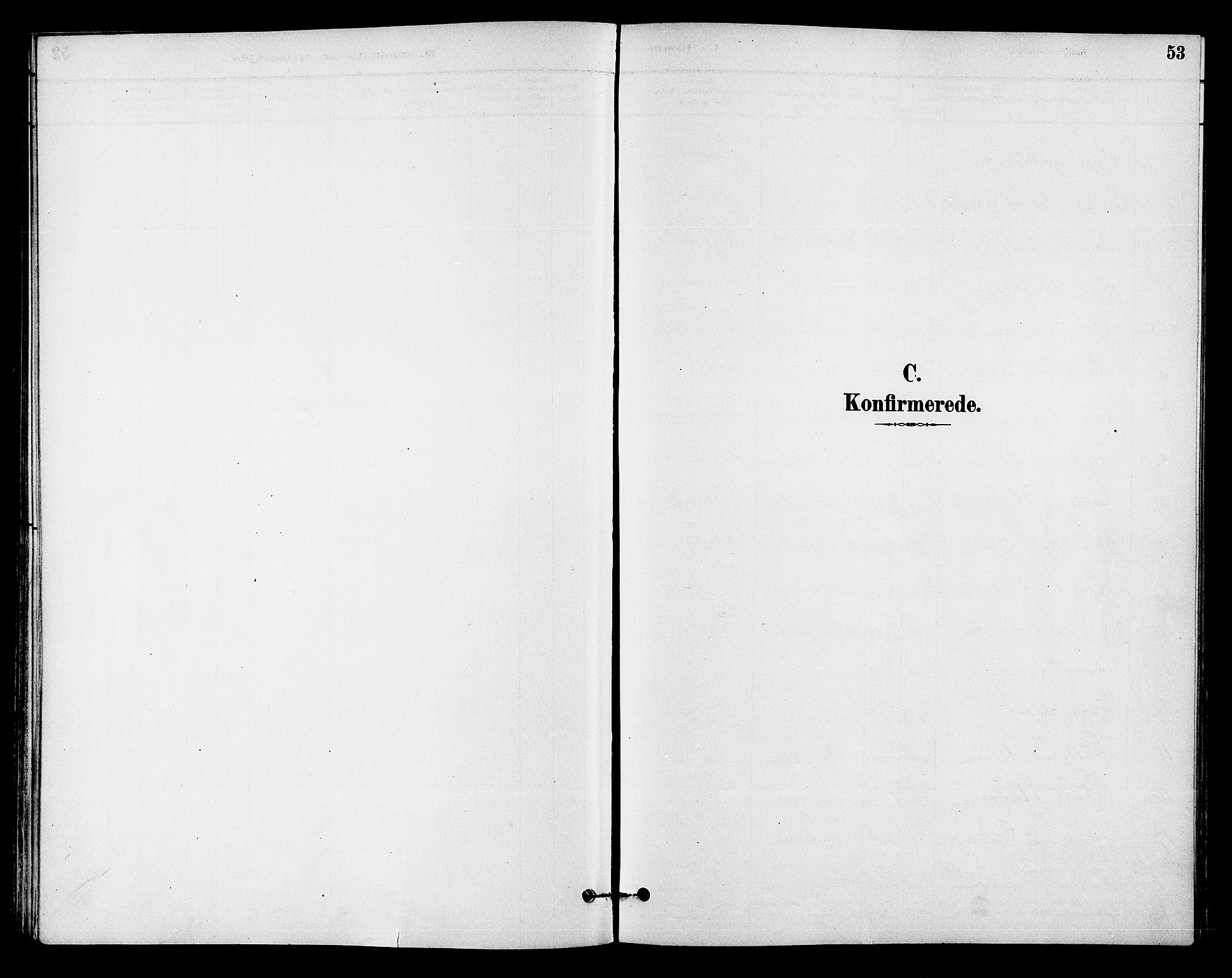 Ådal kirkebøker, SAKO/A-248/F/Fb/L0001: Parish register (official) no. II 1, 1884-1897, p. 53