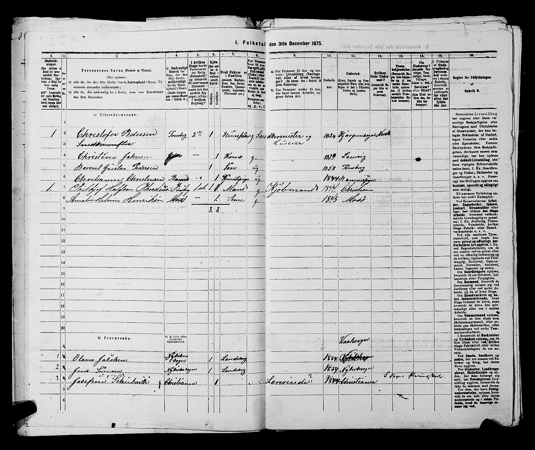 SAKO, 1875 census for 0705P Tønsberg, 1875, p. 116