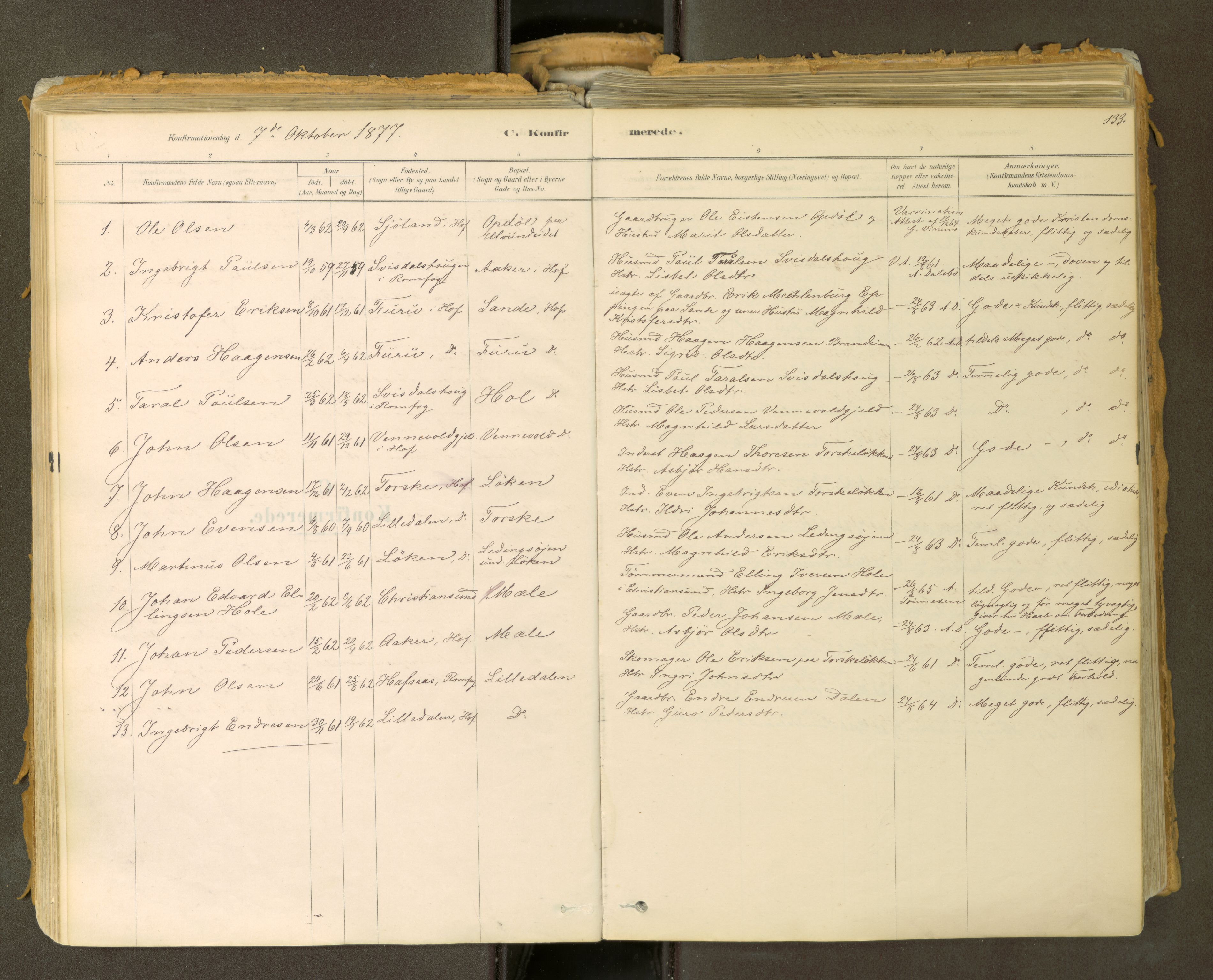 Sunndal sokneprestkontor, SAT/A-1085/1/I/I1/I1a: Parish register (official) no. 2, 1877-1914, p. 133