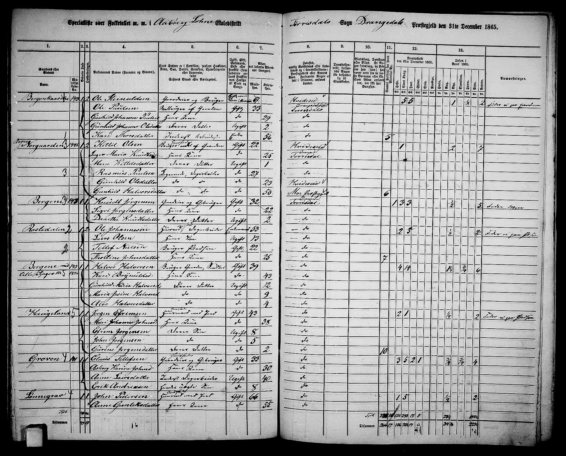 RA, 1865 census for Drangedal, 1865, p. 128