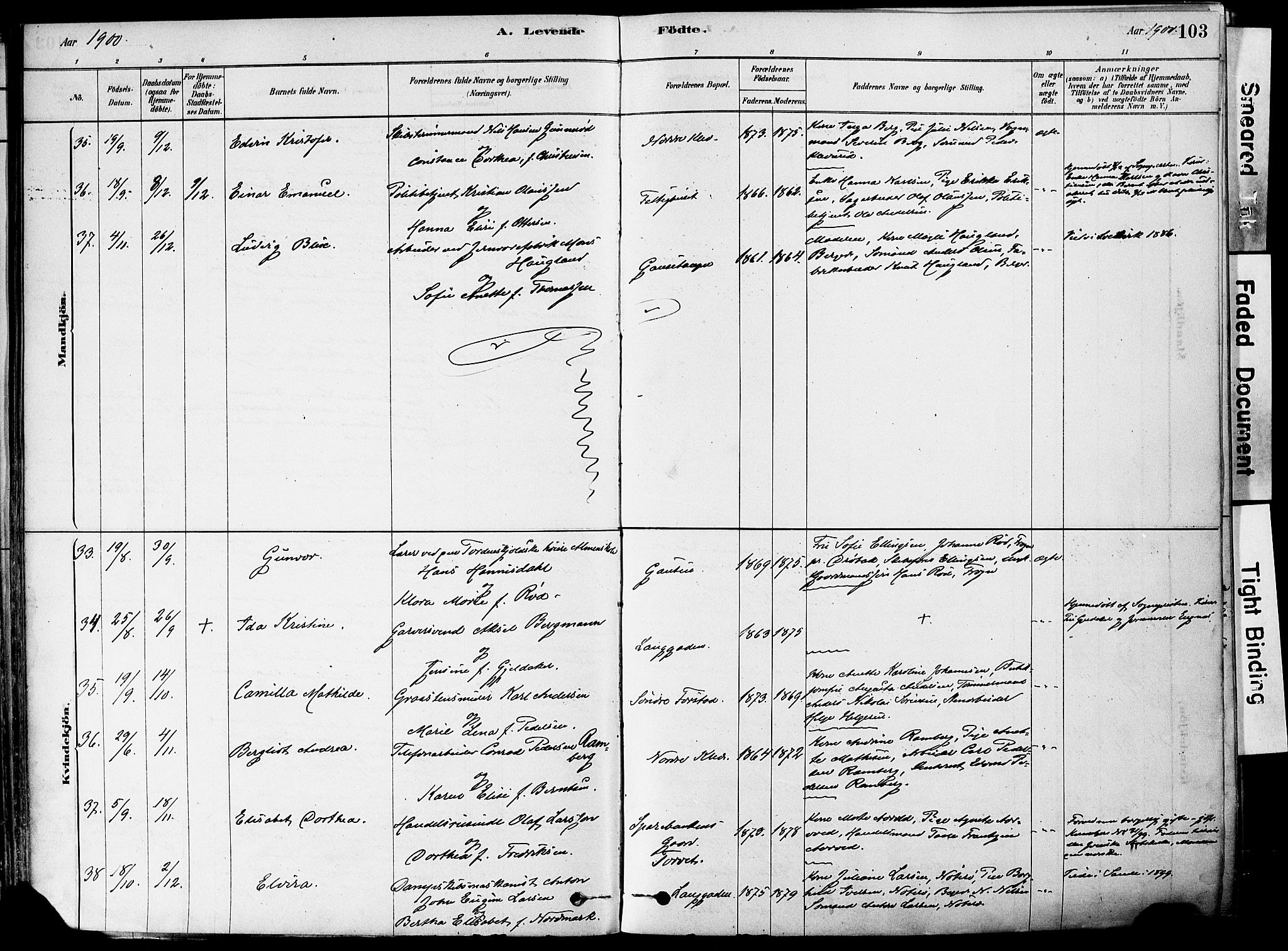 Holmestrand kirkebøker, AV/SAKO-A-346/F/Fa/L0004: Parish register (official) no. 4, 1880-1901, p. 103