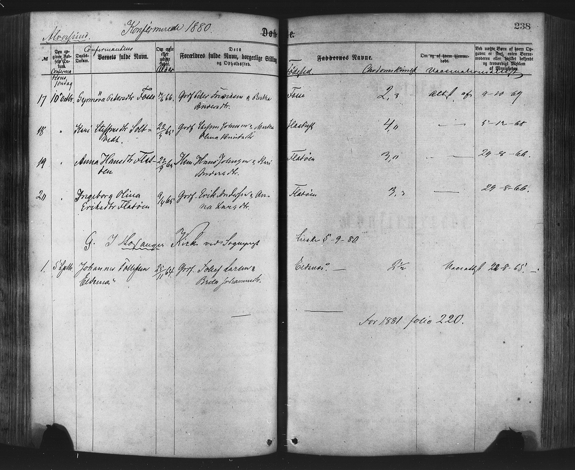 Hamre sokneprestembete, AV/SAB-A-75501/H/Ha/Haa/Haaa/L0015: Parish register (official) no. A 15, 1870-1881, p. 238