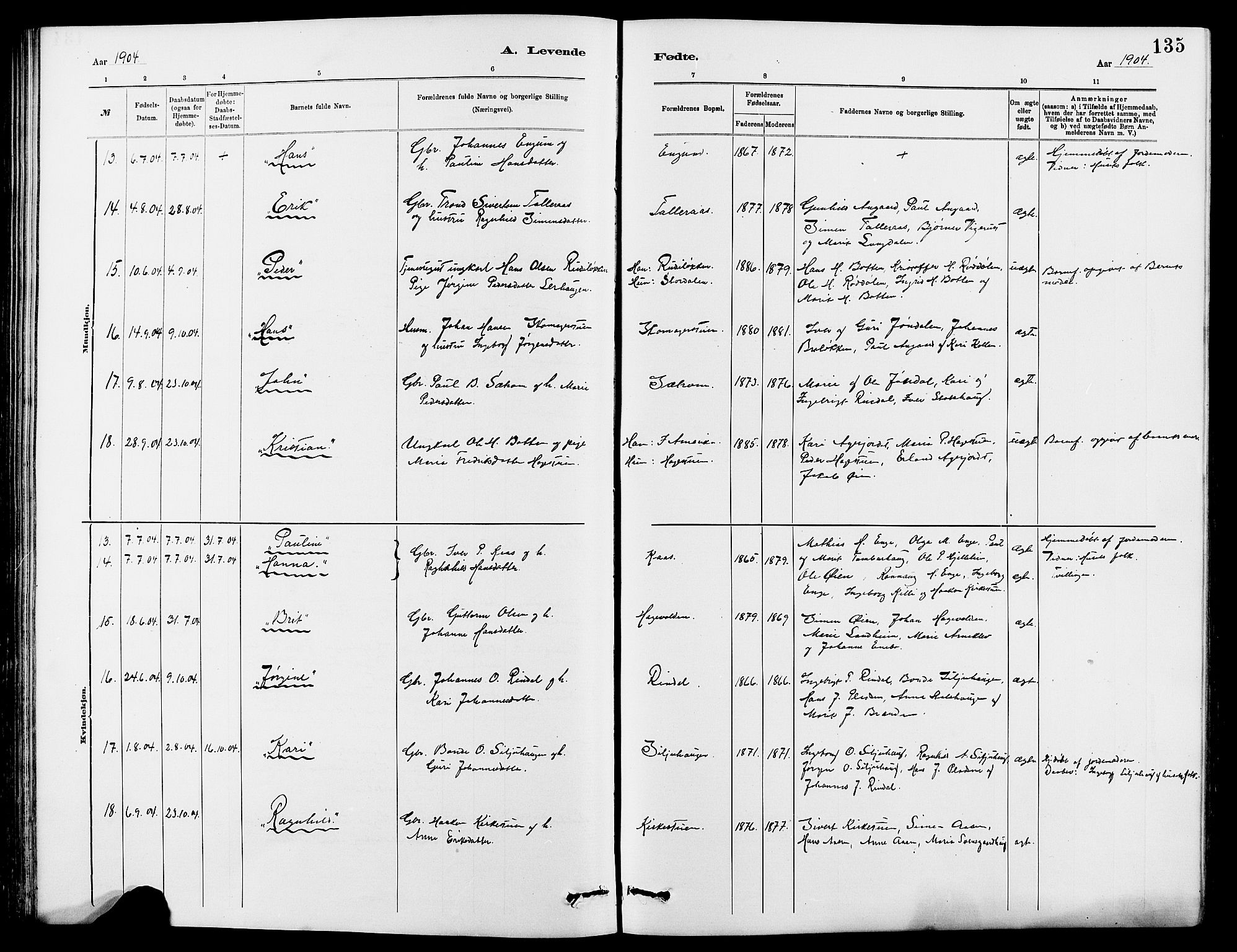 Dovre prestekontor, SAH/PREST-066/H/Ha/Hab/L0002: Parish register (copy) no. 2, 1881-1907, p. 135
