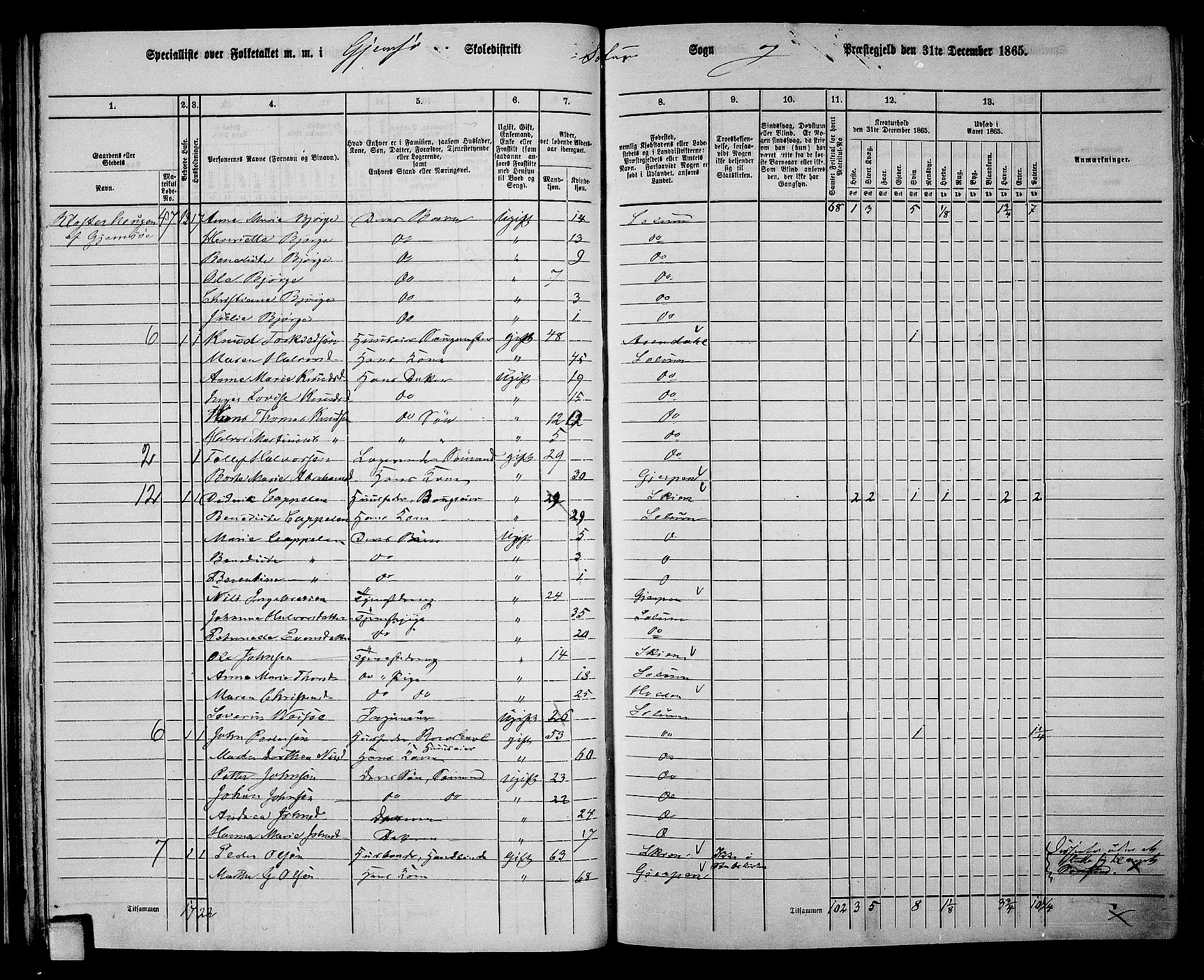 RA, 1865 census for Solum, 1865, p. 50