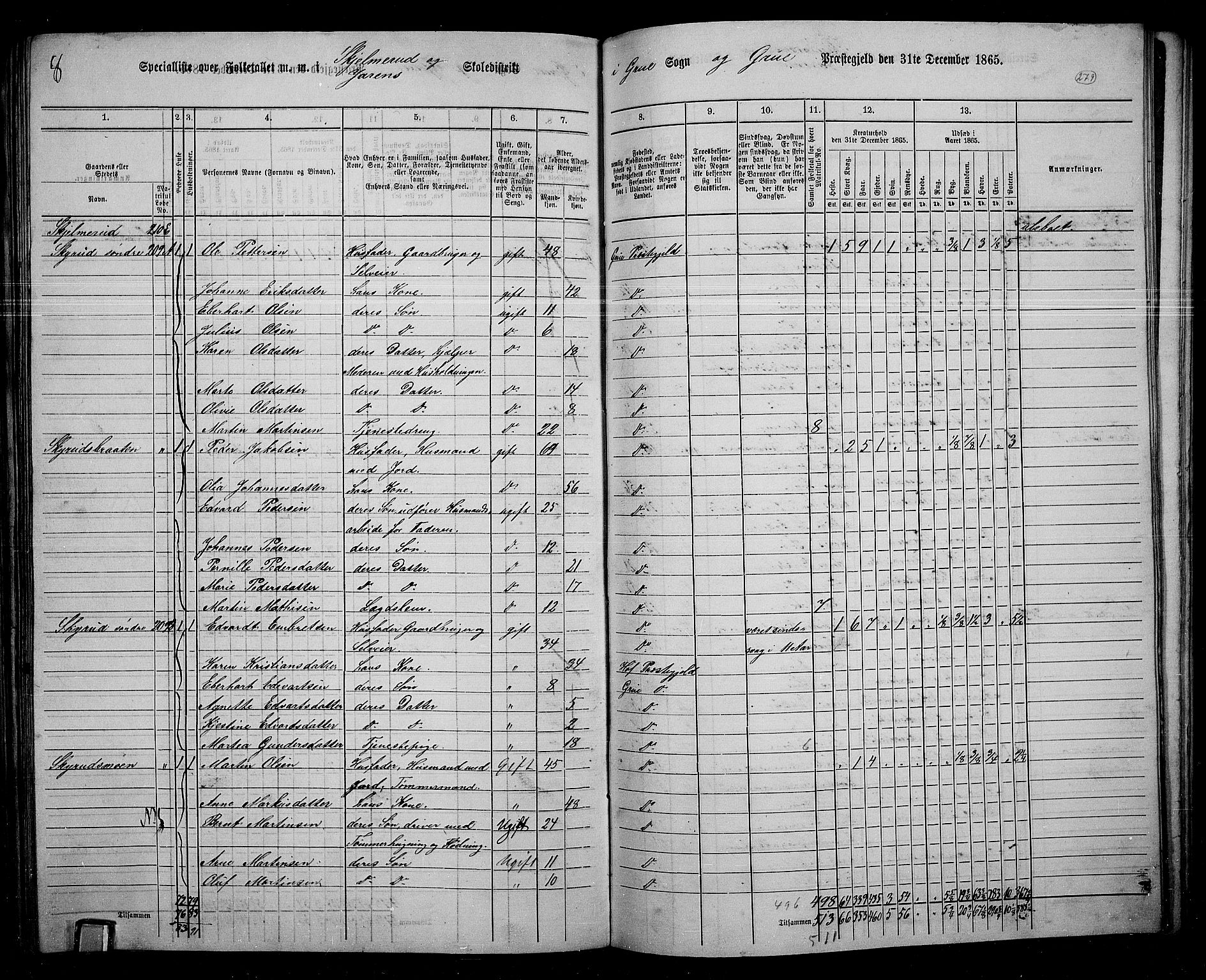 RA, 1865 census for Grue, 1865, p. 248