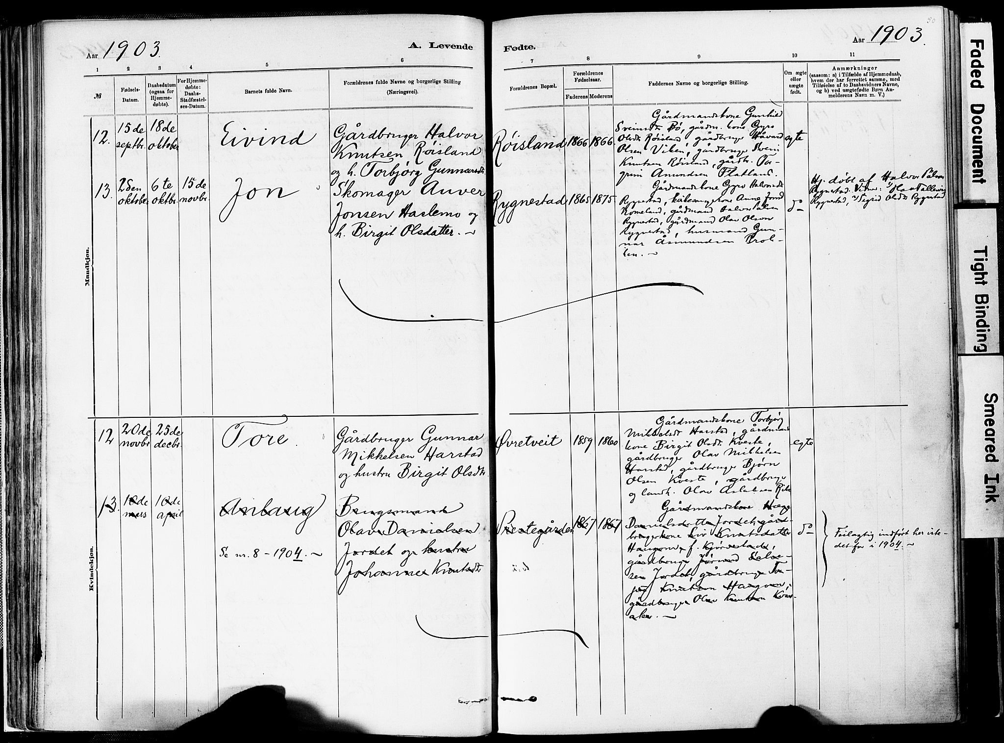 Valle sokneprestkontor, AV/SAK-1111-0044/F/Fa/Fac/L0009: Parish register (official) no. A 9, 1882-1913, p. 50