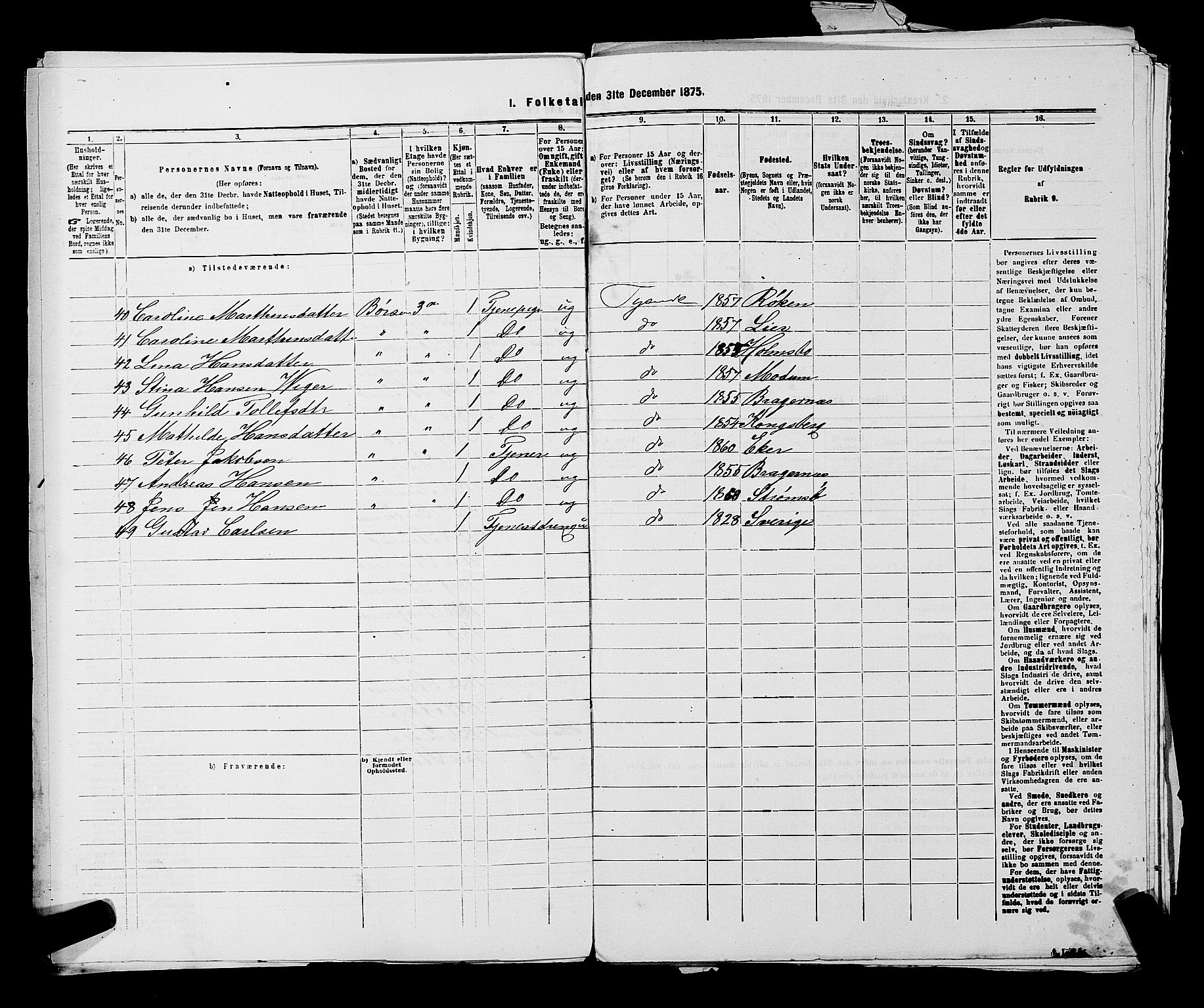 SAKO, 1875 census for 0602 Drammen, 1875, p. 1314