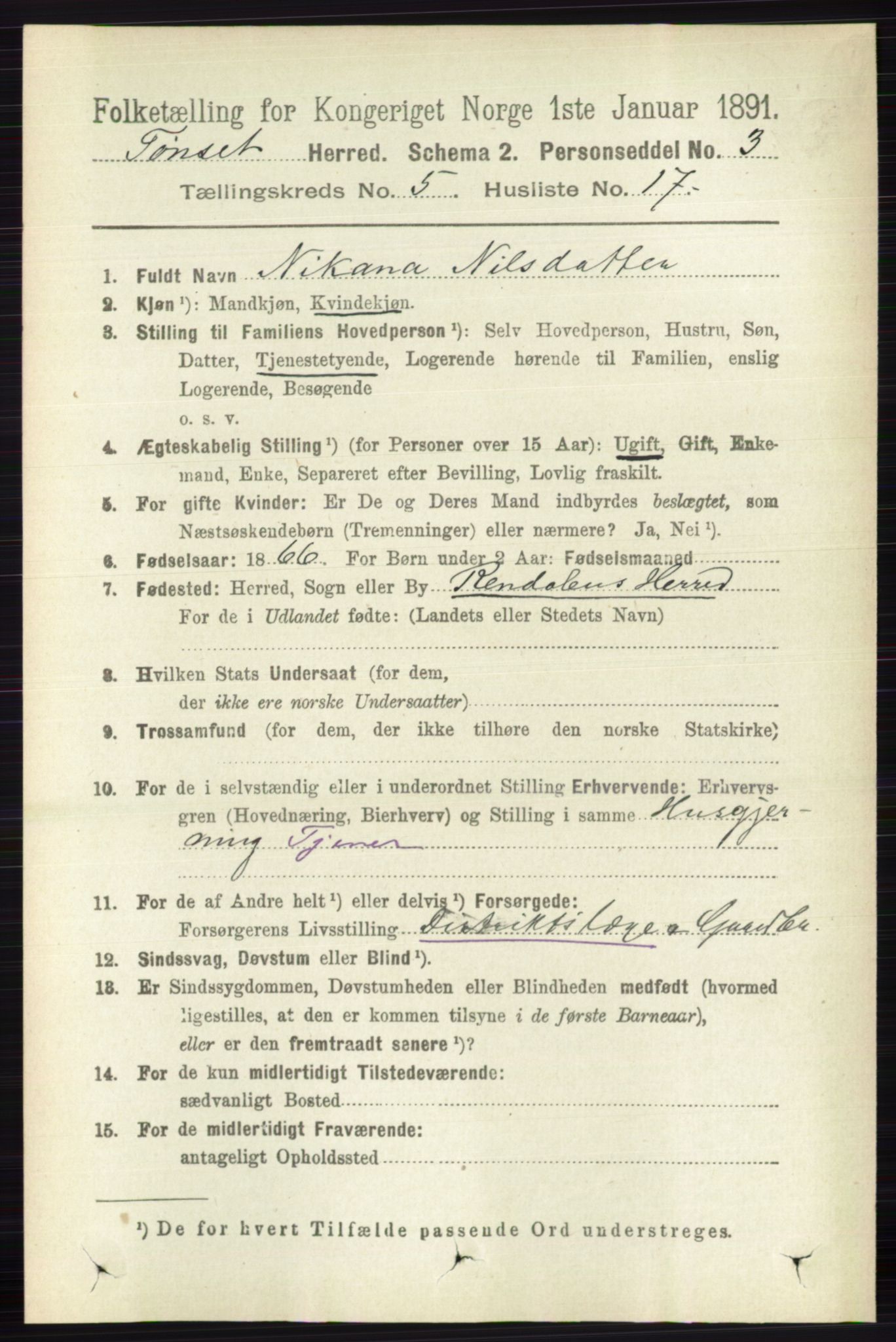 RA, 1891 census for 0437 Tynset, 1891, p. 1172