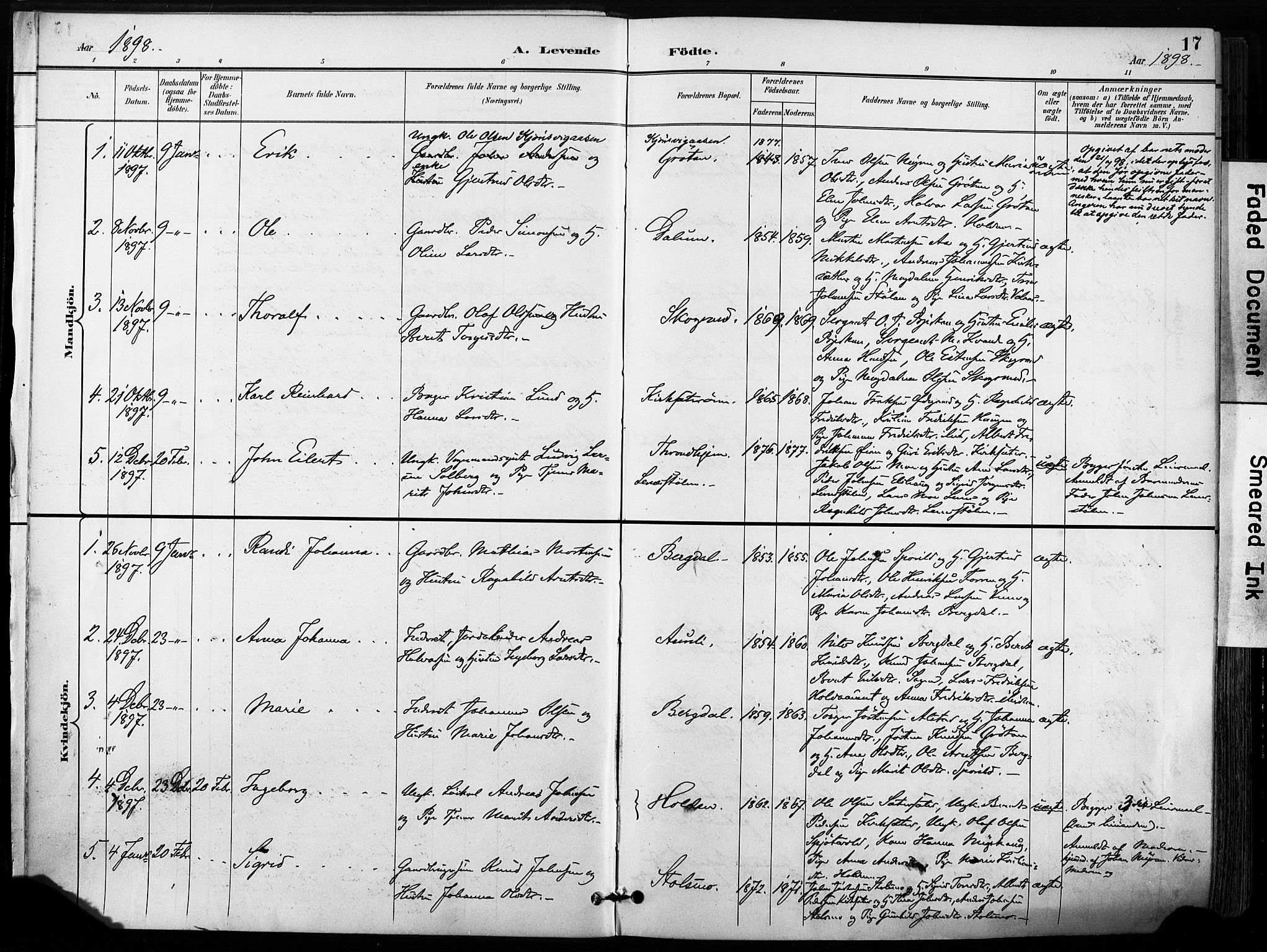Ministerialprotokoller, klokkerbøker og fødselsregistre - Sør-Trøndelag, SAT/A-1456/630/L0497: Parish register (official) no. 630A10, 1896-1910, p. 17