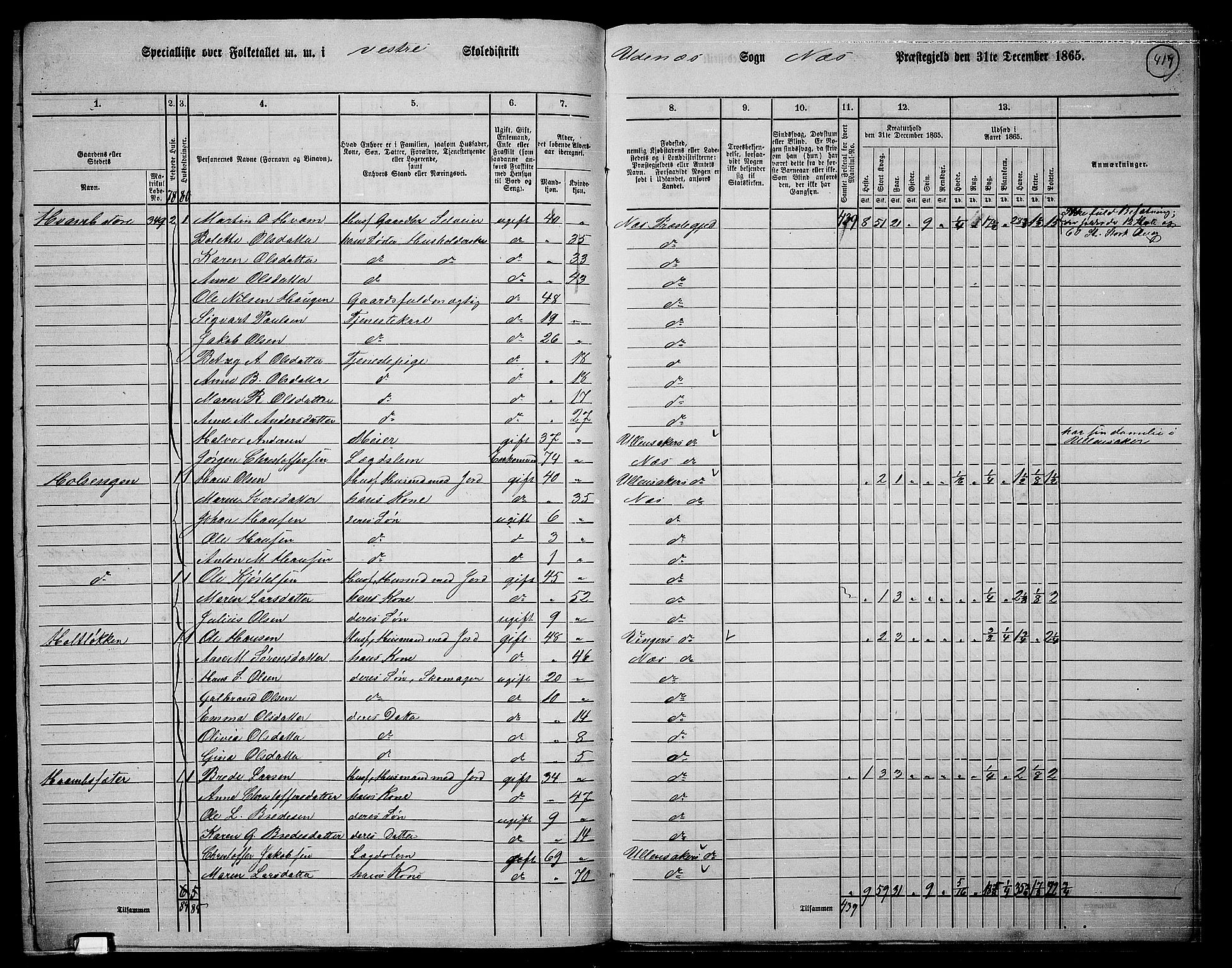 RA, 1865 census for Nes, 1865, p. 383