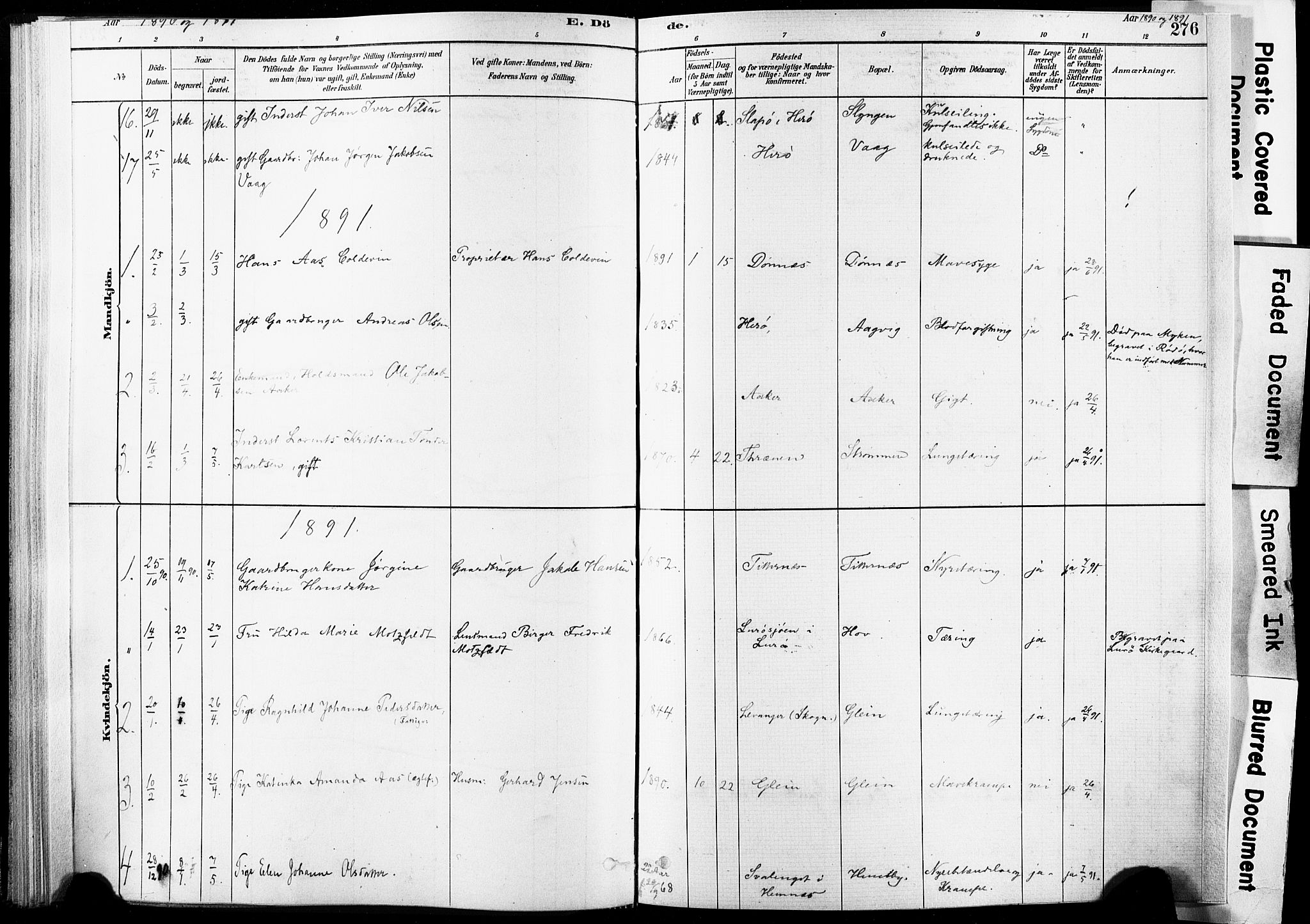 Ministerialprotokoller, klokkerbøker og fødselsregistre - Nordland, AV/SAT-A-1459/835/L0526: Parish register (official) no. 835A03II, 1881-1910, p. 276