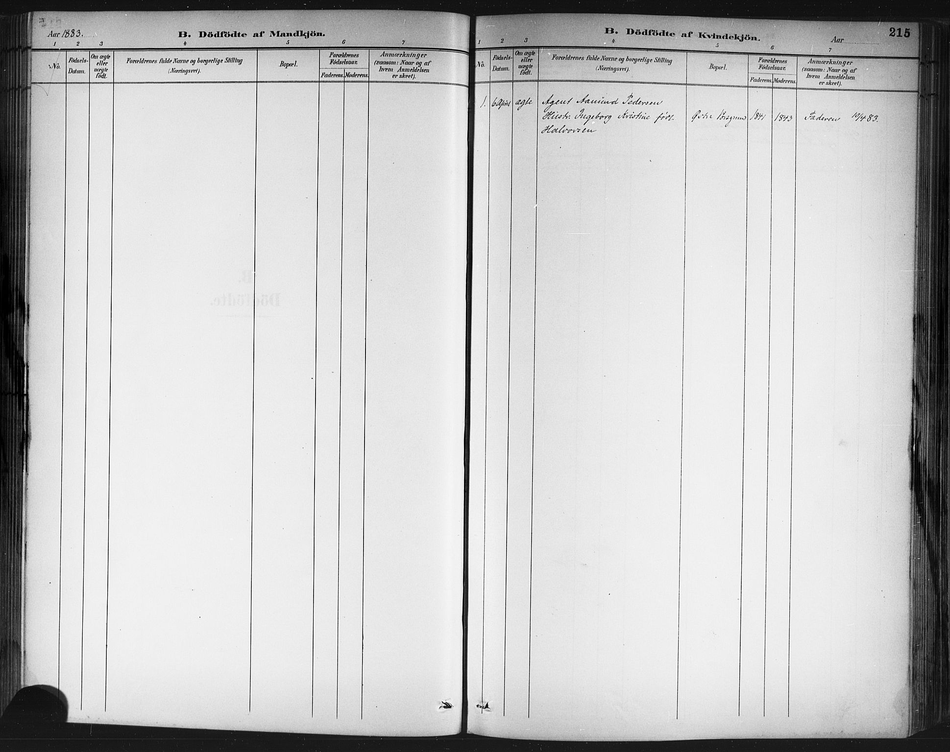 Porsgrunn kirkebøker , SAKO/A-104/G/Gb/L0005: Parish register (copy) no. II 5, 1883-1915, p. 215