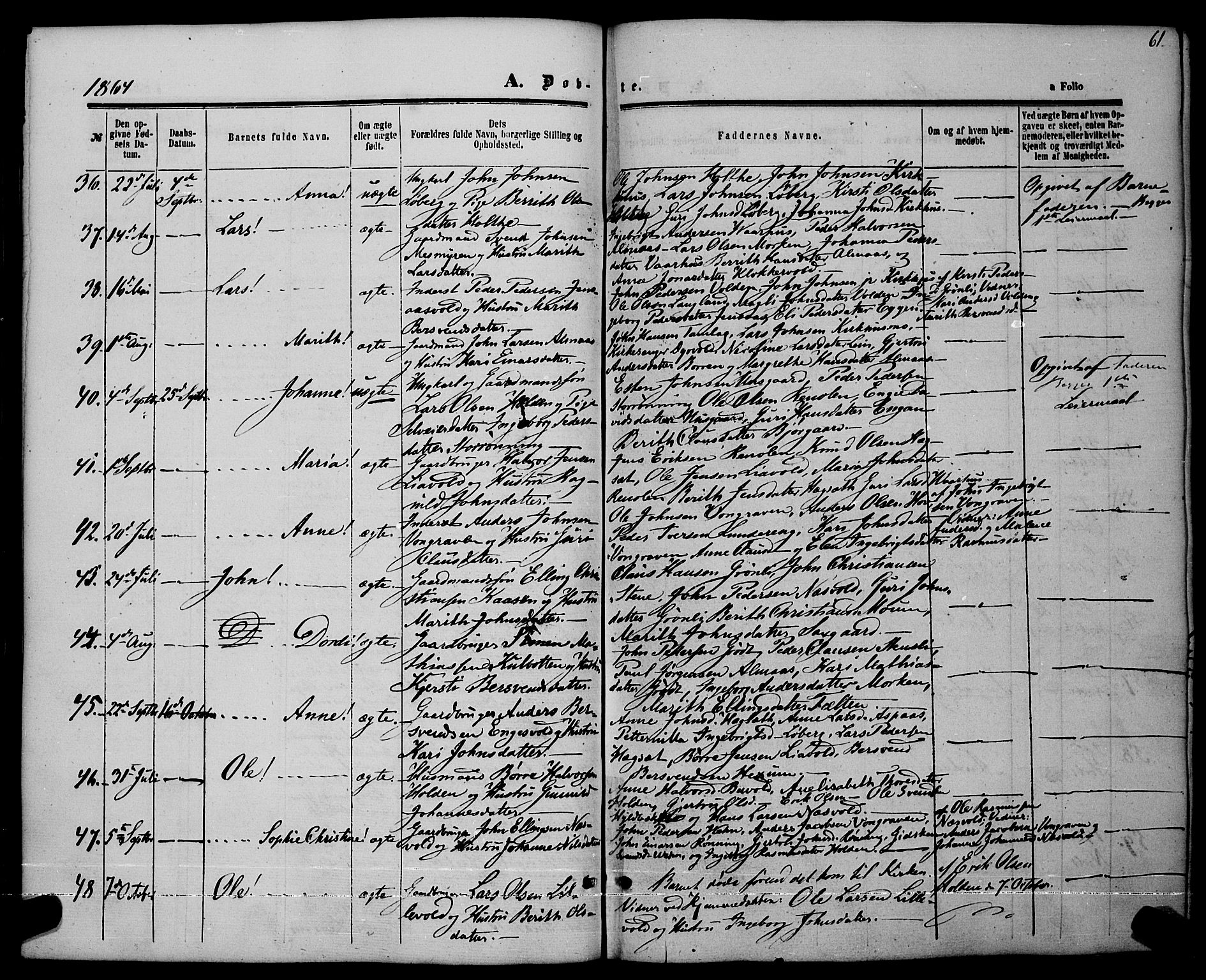 Ministerialprotokoller, klokkerbøker og fødselsregistre - Sør-Trøndelag, AV/SAT-A-1456/685/L0968: Parish register (official) no. 685A07 /3, 1860-1869, p. 61